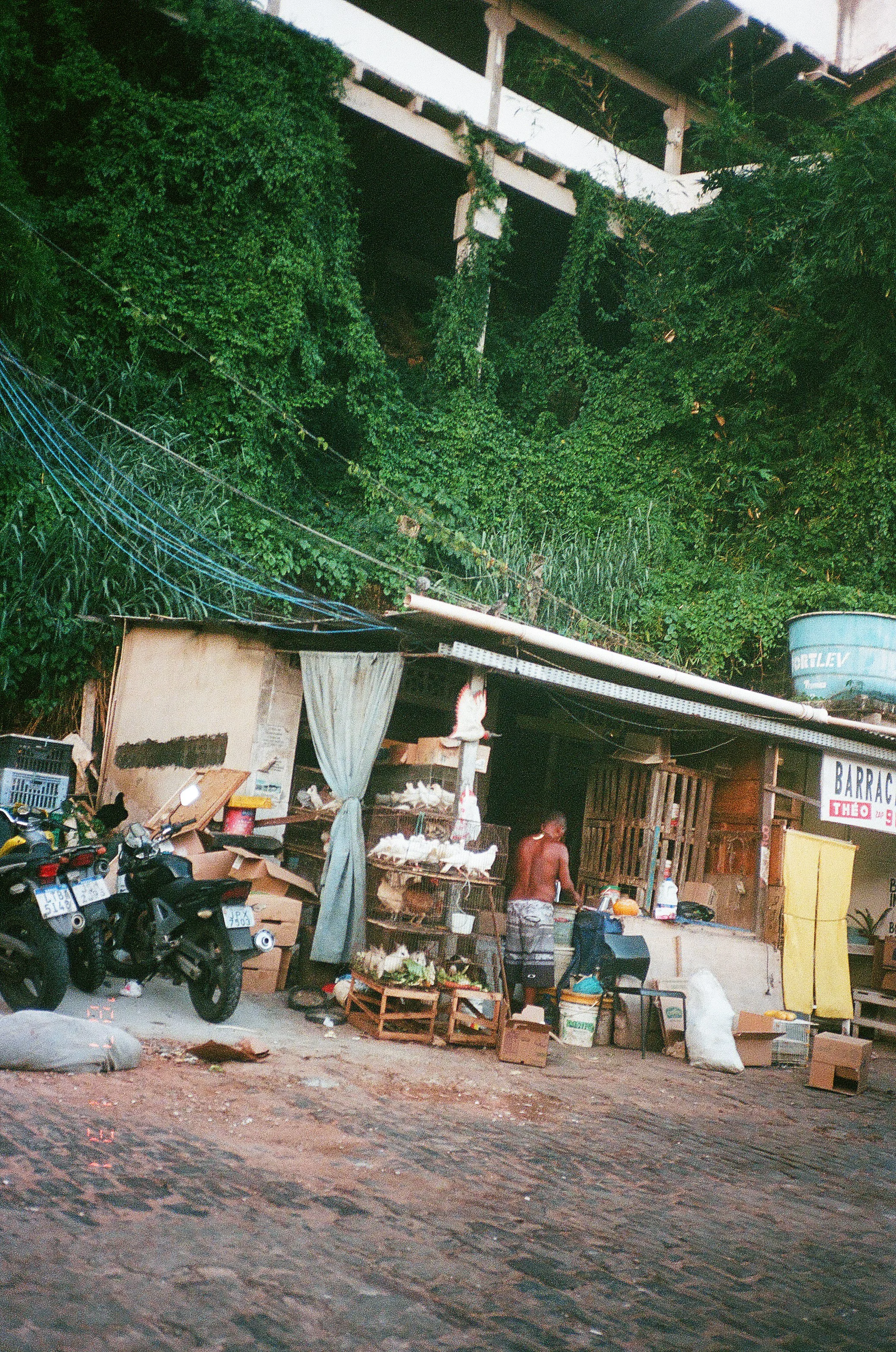 seteportas copy.jpg