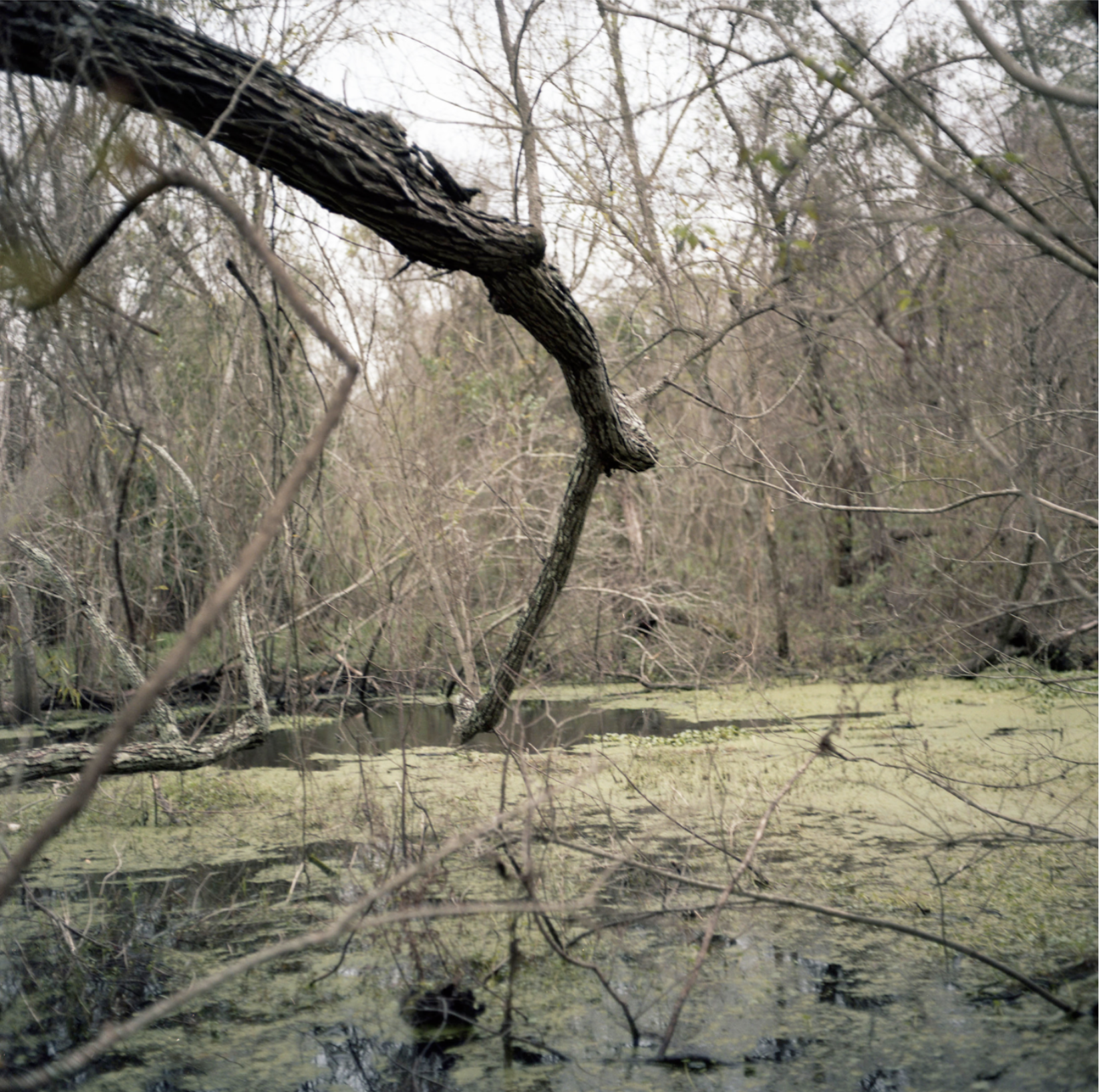 Screen Shot 2024-11-09 at 2.30.02 PM.png