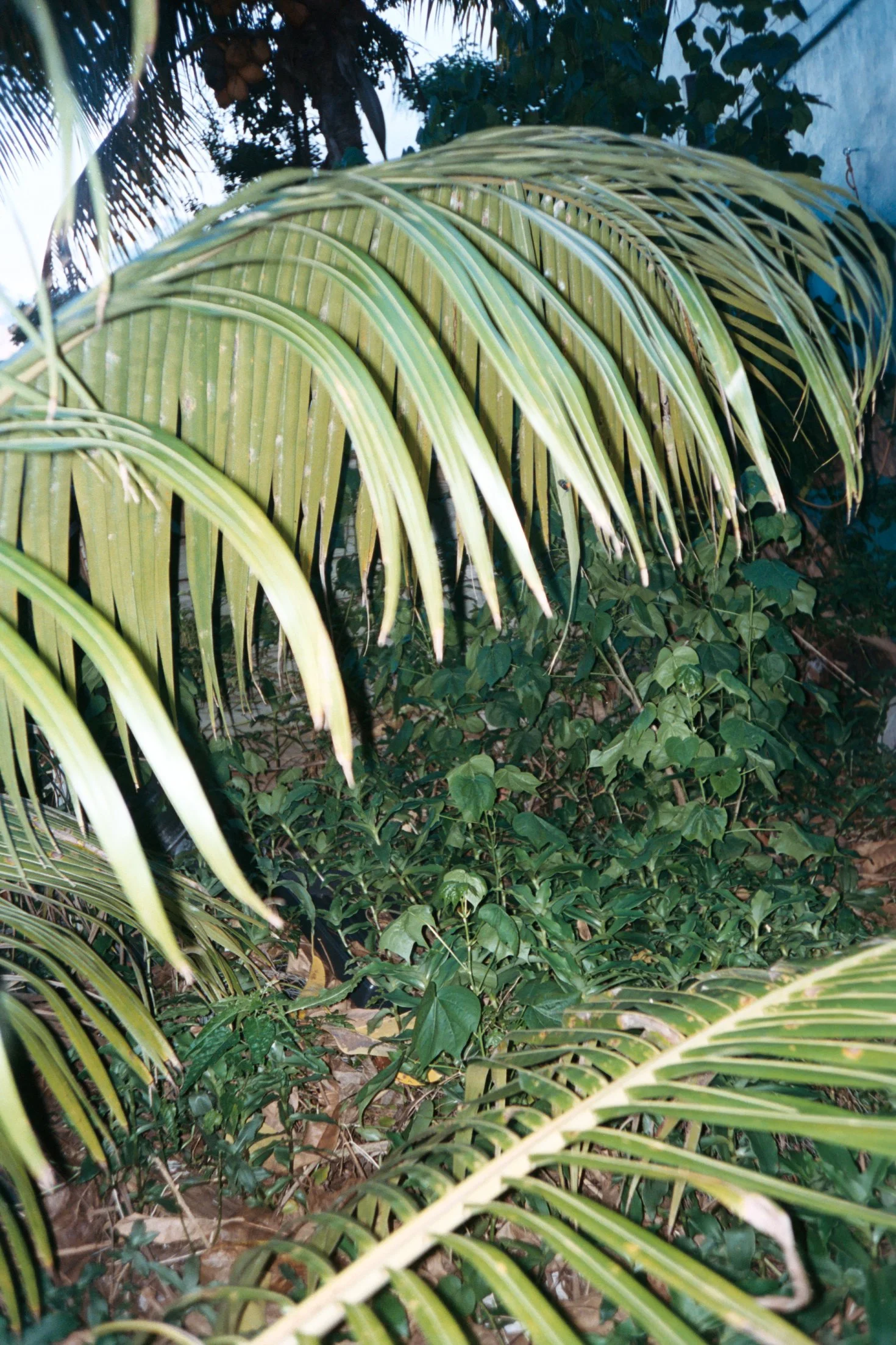 miamiboilingpoint copy.jpg