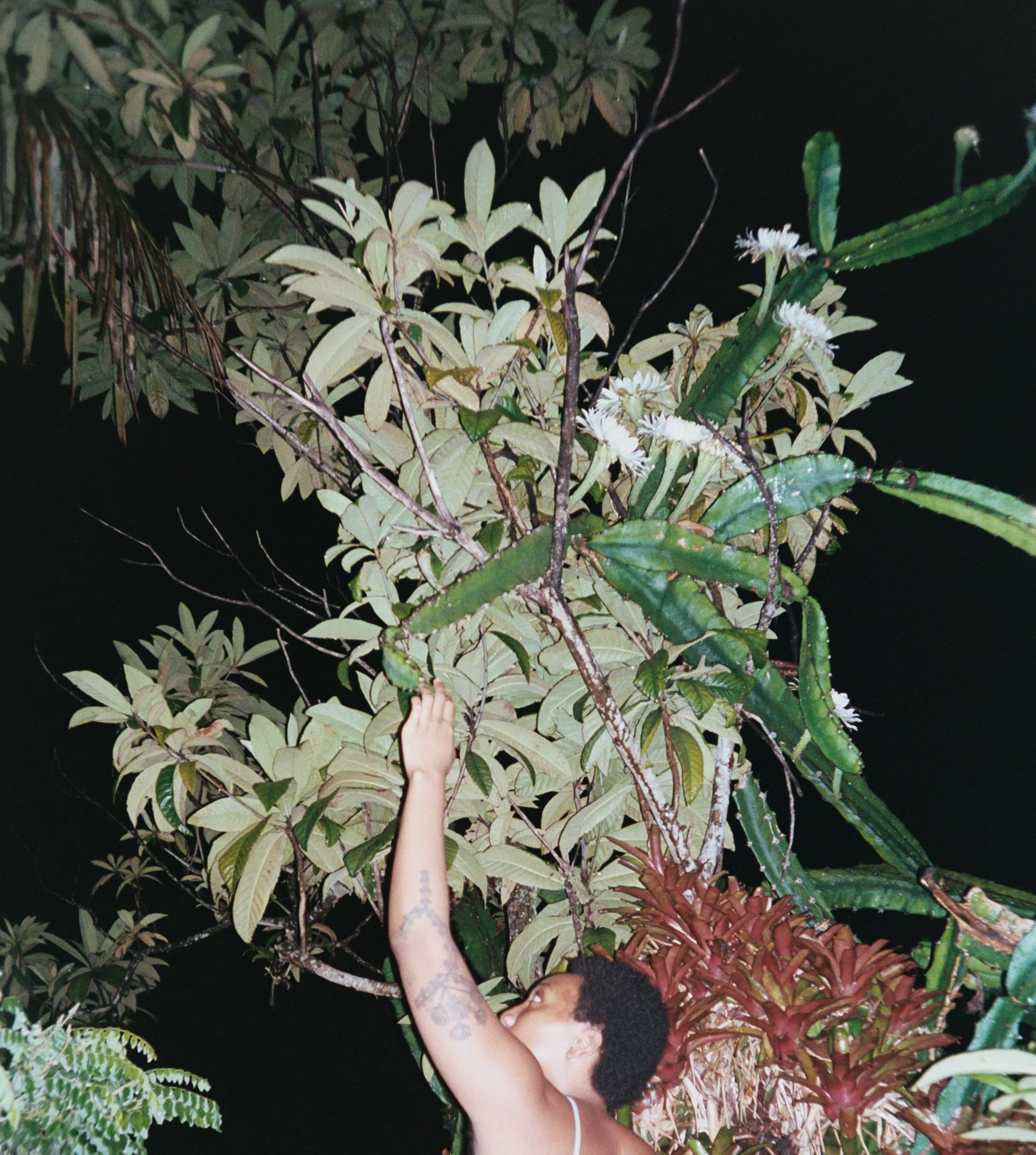 lareinadenoche copy.jpg