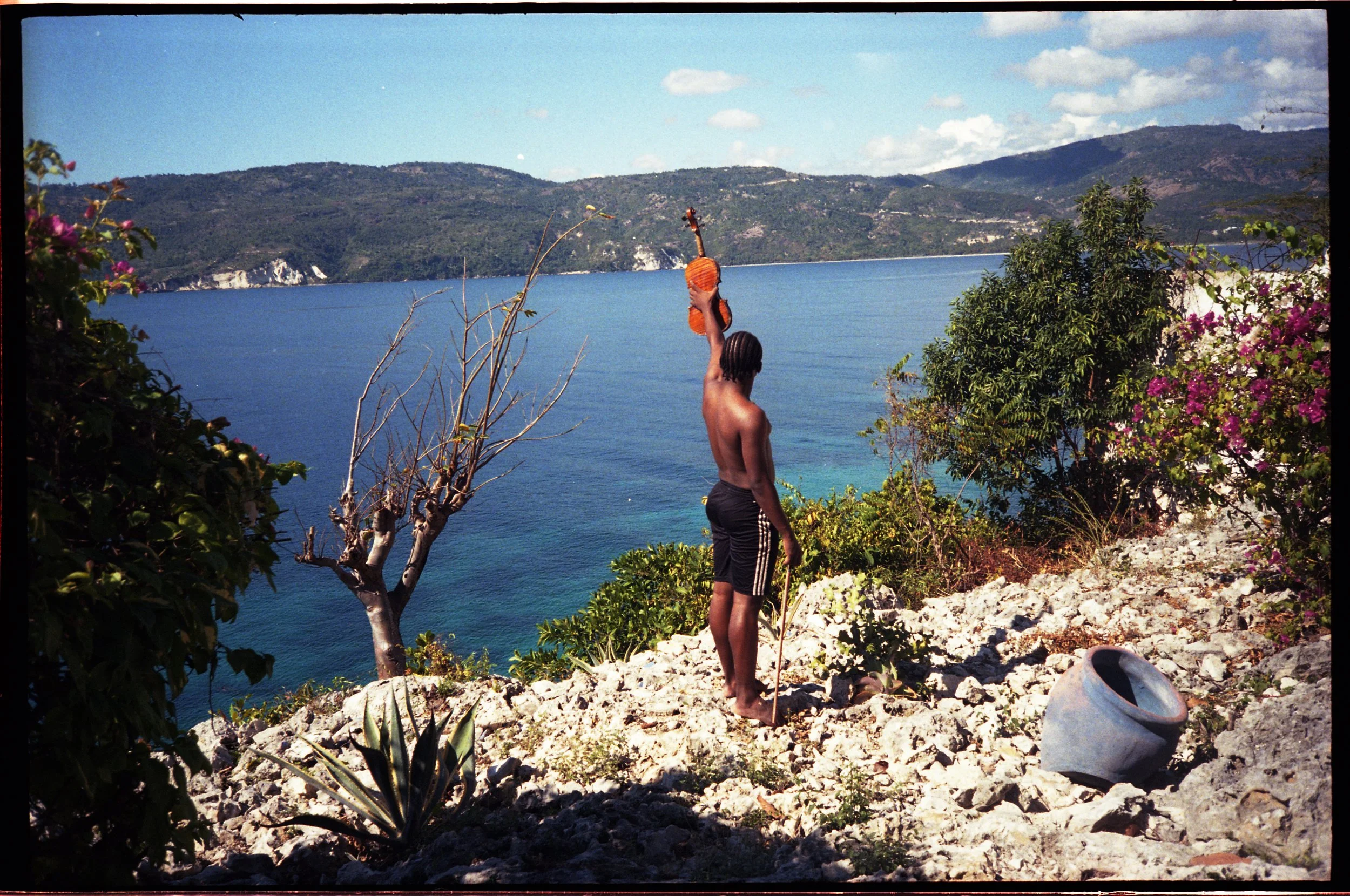 stravwviolinhorizon copy.jpg