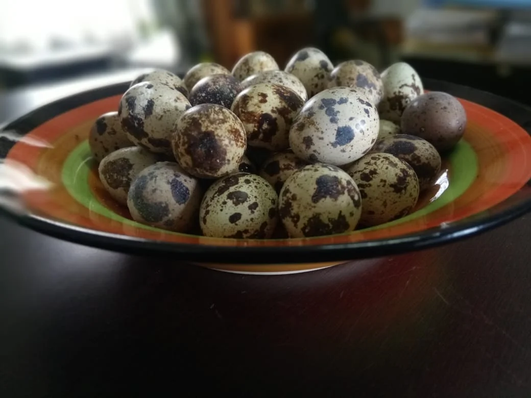 Quail Eggs.jpg