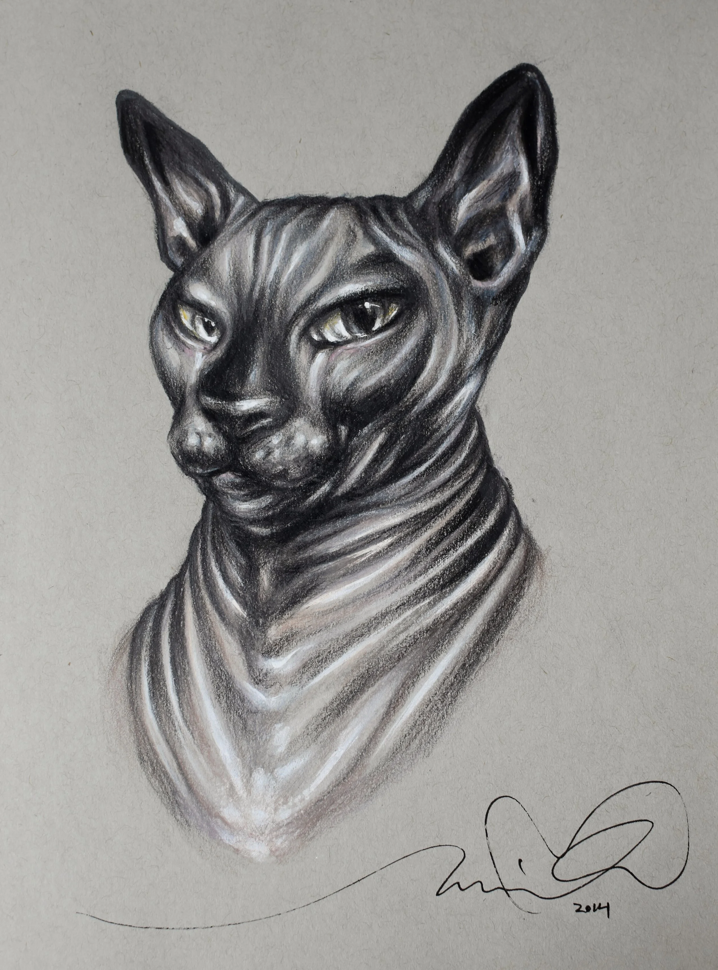 Sphynx