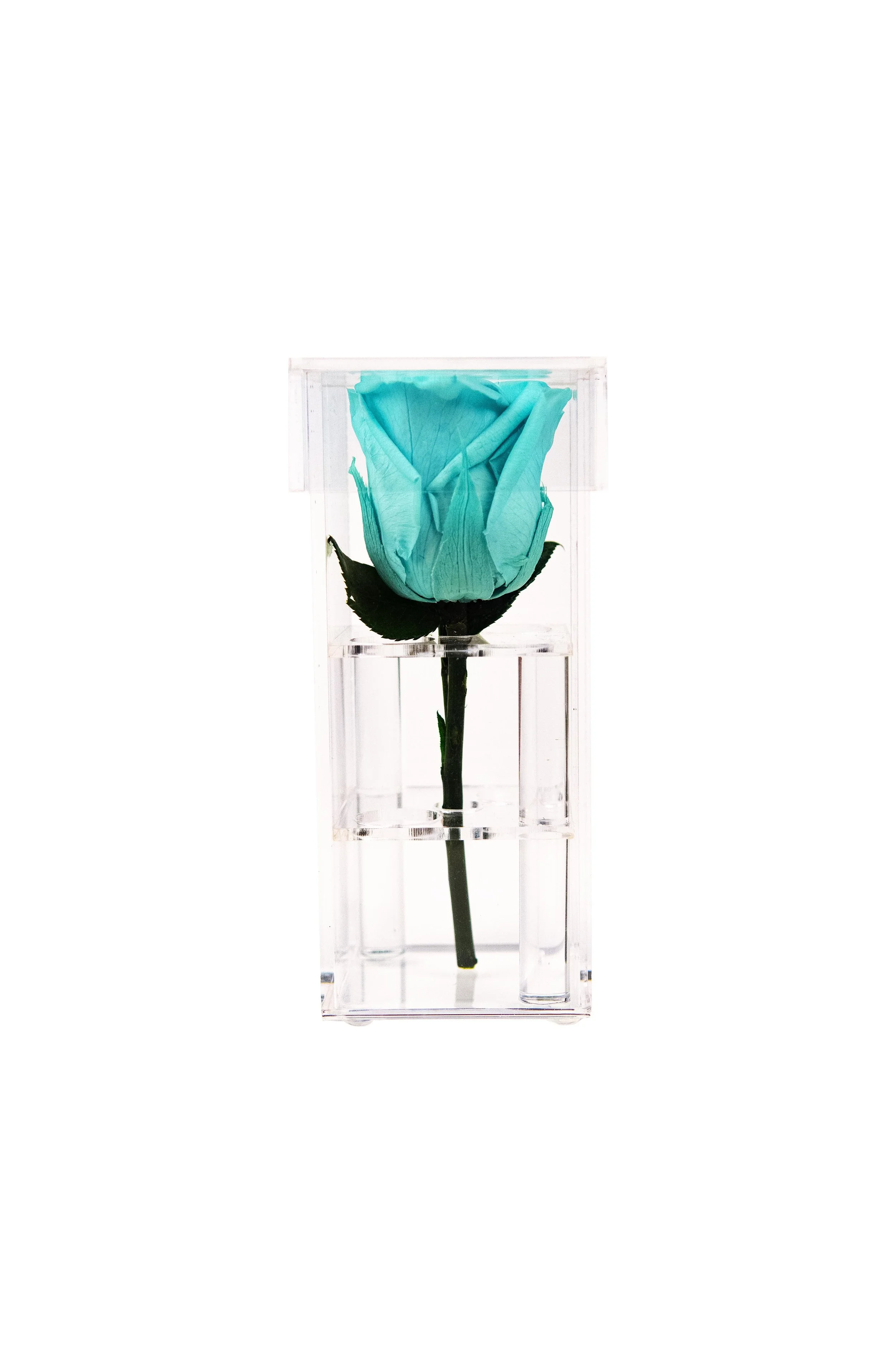 AlbiasCelebrations-Products-015.jpg