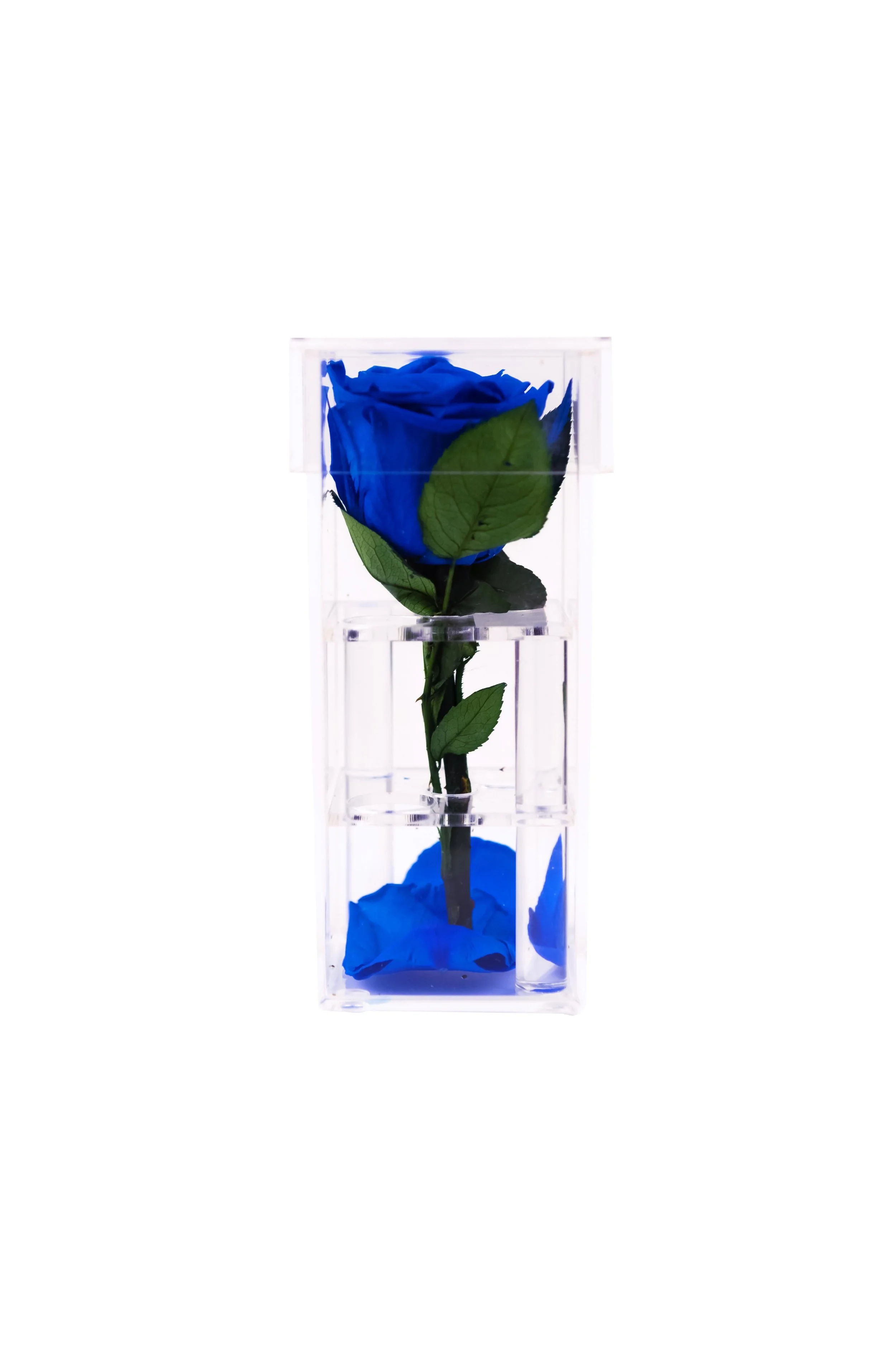 AlbiasCelebrations-Products-019.jpg