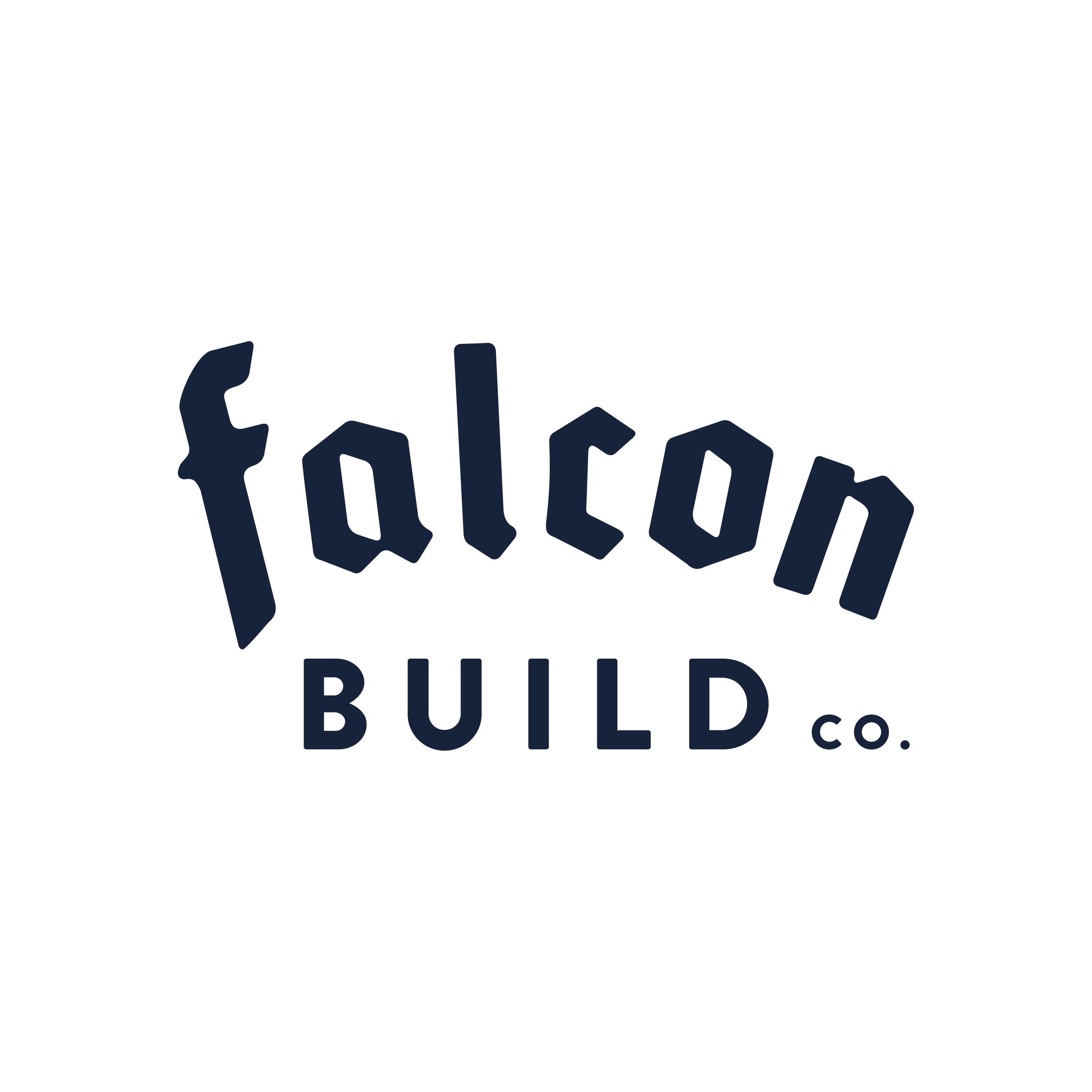 Falcon Build