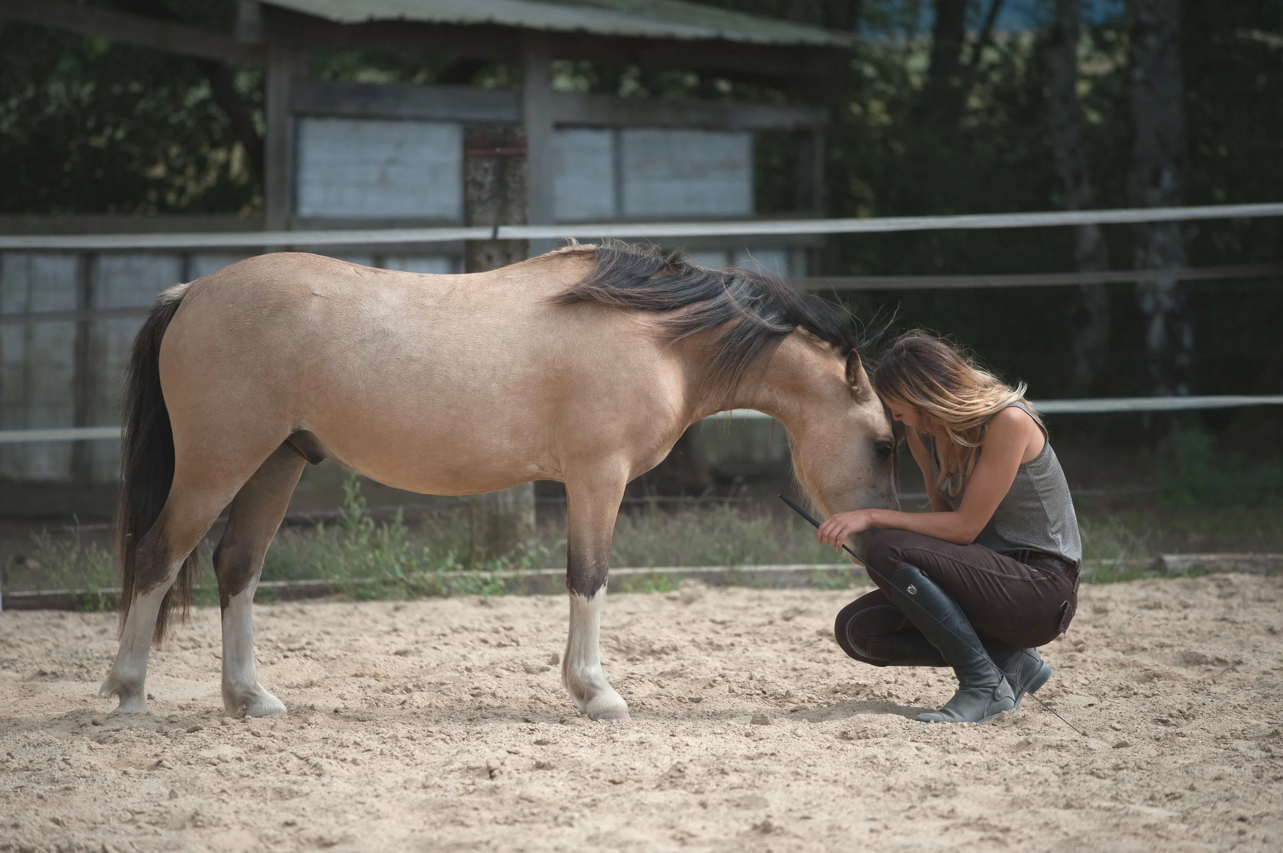 Formée en Podologie Equine Libre (PEL 1) avec Guillaume Parisot.
