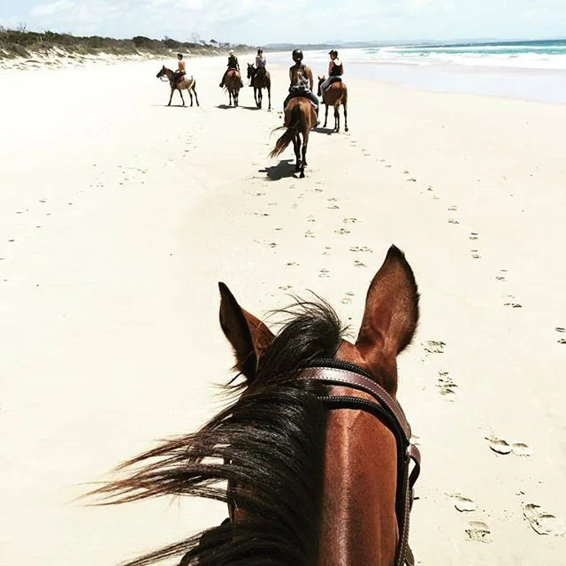 Could there be a better way to start the day? We think not... @zephyr_horses 🦄 
#rideawayonmyzephyr
.
.
.
.
.
.
.
.
.
.
.
.
.
#byronbay#byron#byronaccommodation#byronbayaccommodation#gosamara#byronbayapartments#byronfamilyholiday#byronattractions#byronlife#byronthingstodo#byroncafe#byronrestaurant#byronshopping#supportlocal#byronfood#fromwhereyoudratherbe#australia#byrontourism#gosamaraapartments#staycayerryday#horse#riding#beach#beautiful