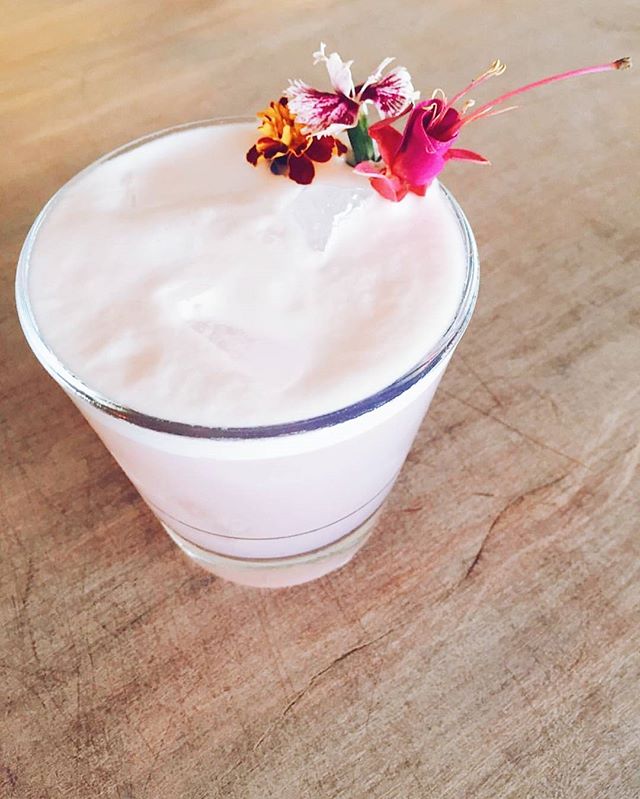 Hmmmm....It's never too early in the week is it? 🍹🌸
Butterfly Pea Sour from @balconybyronbay #regram #yesplease
.
.
.
.
.
.
.
.
#byronbay#byron#byronaccommodation#byronbayaccommodation#gosamara#byronbayapartments#byronfamilyholiday#byronattractions