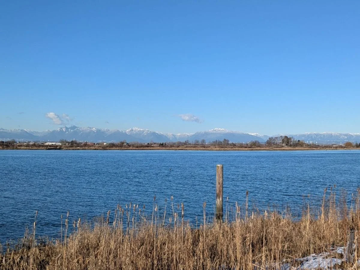 February 2025  ~ Full Moon