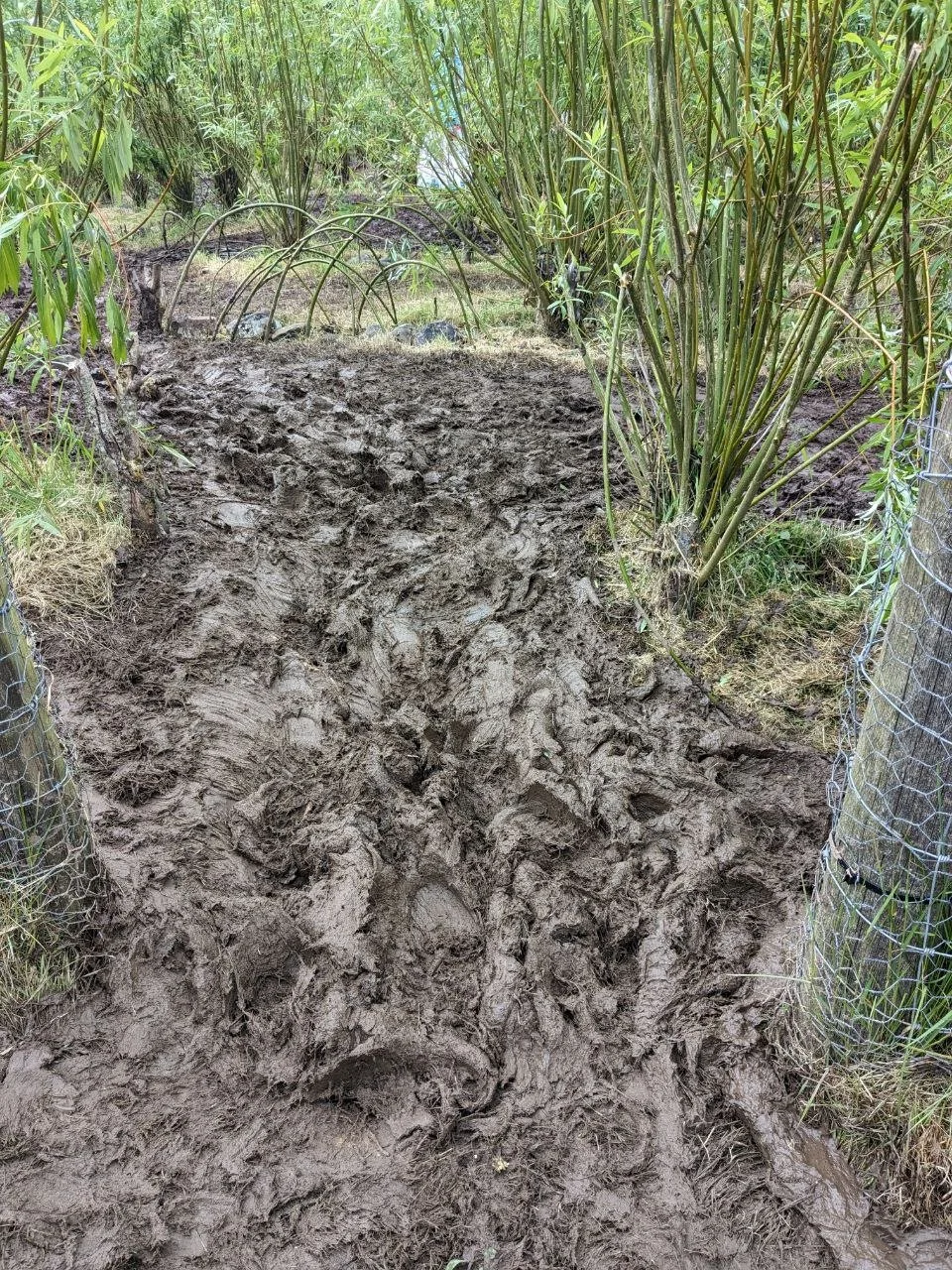 June 2024  ~ Full Moon