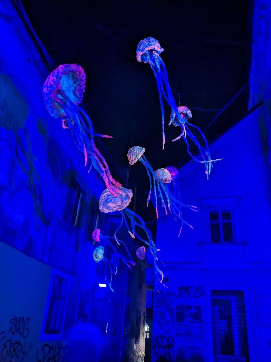 March 2024  ~ Full Moon