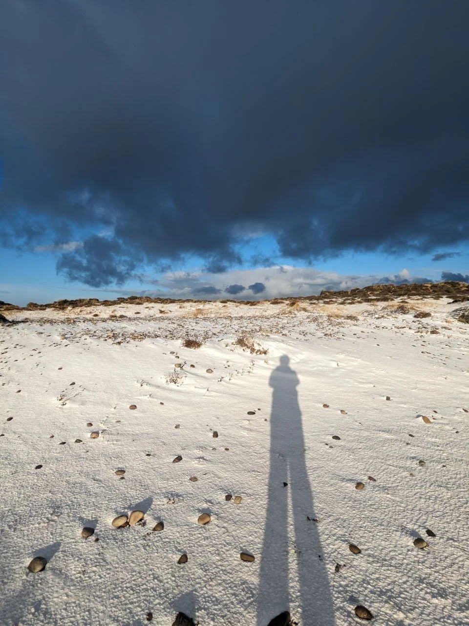 January 2024  ~ Full Moon