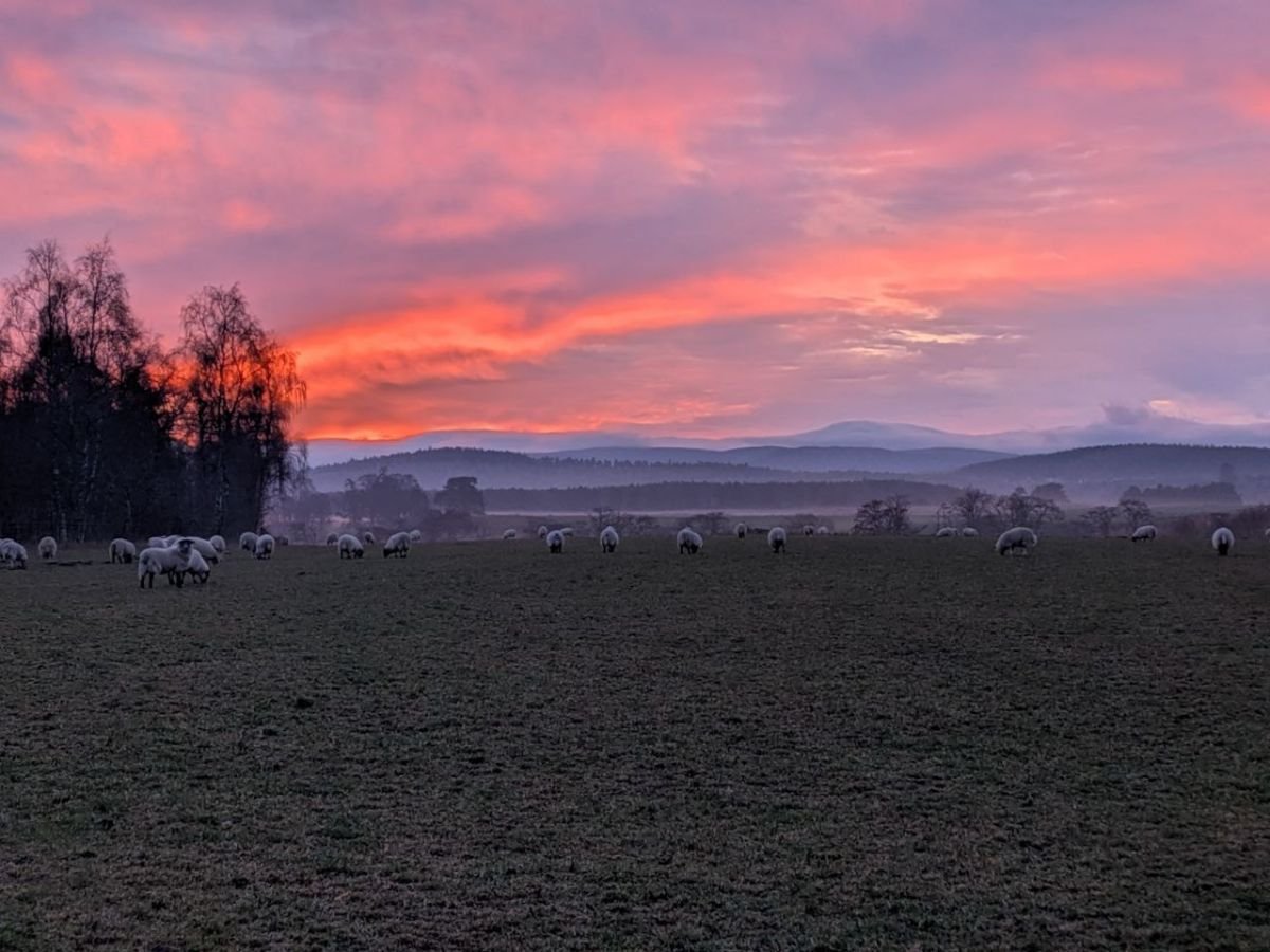 January 2026 ~ Full Moon