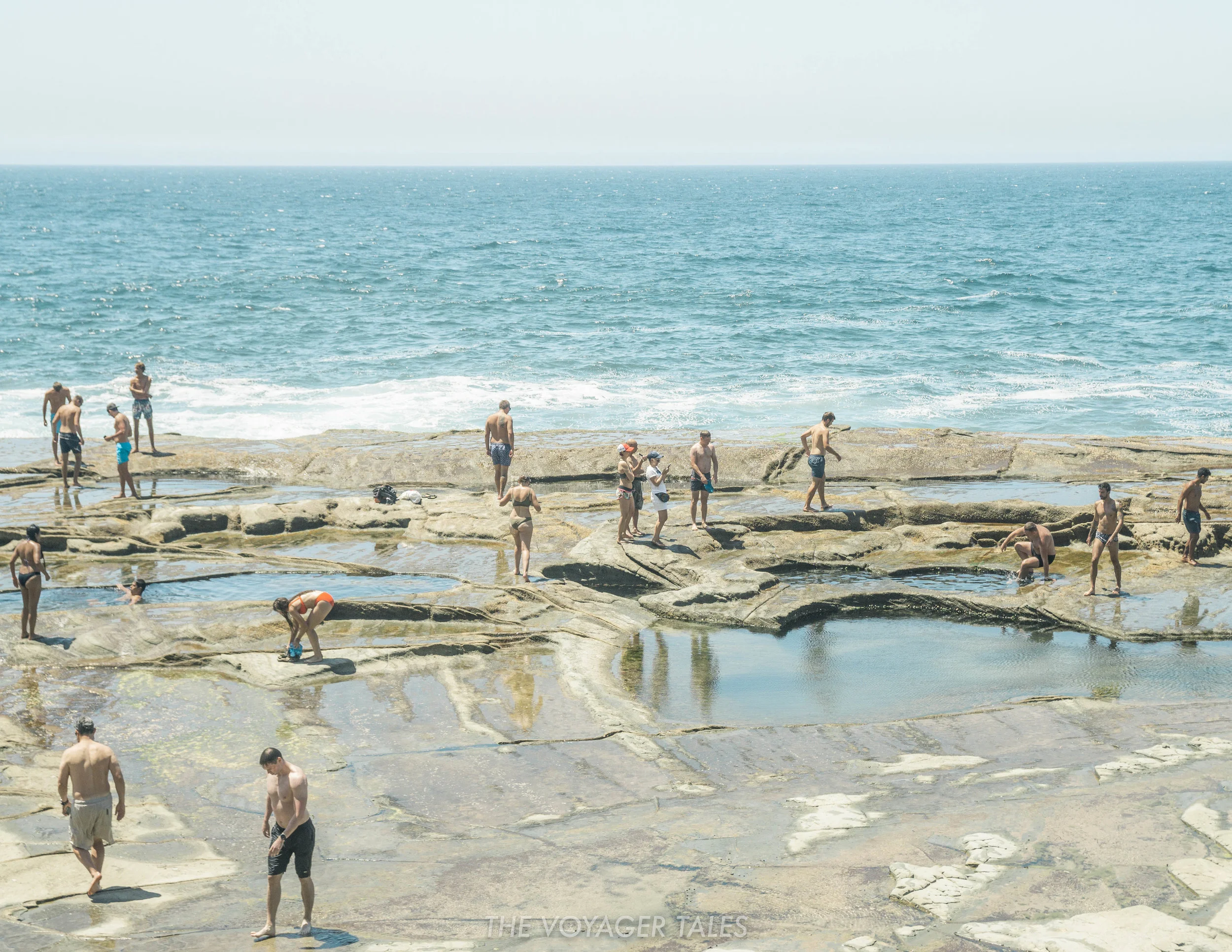 Figure 8 Pool.jpg