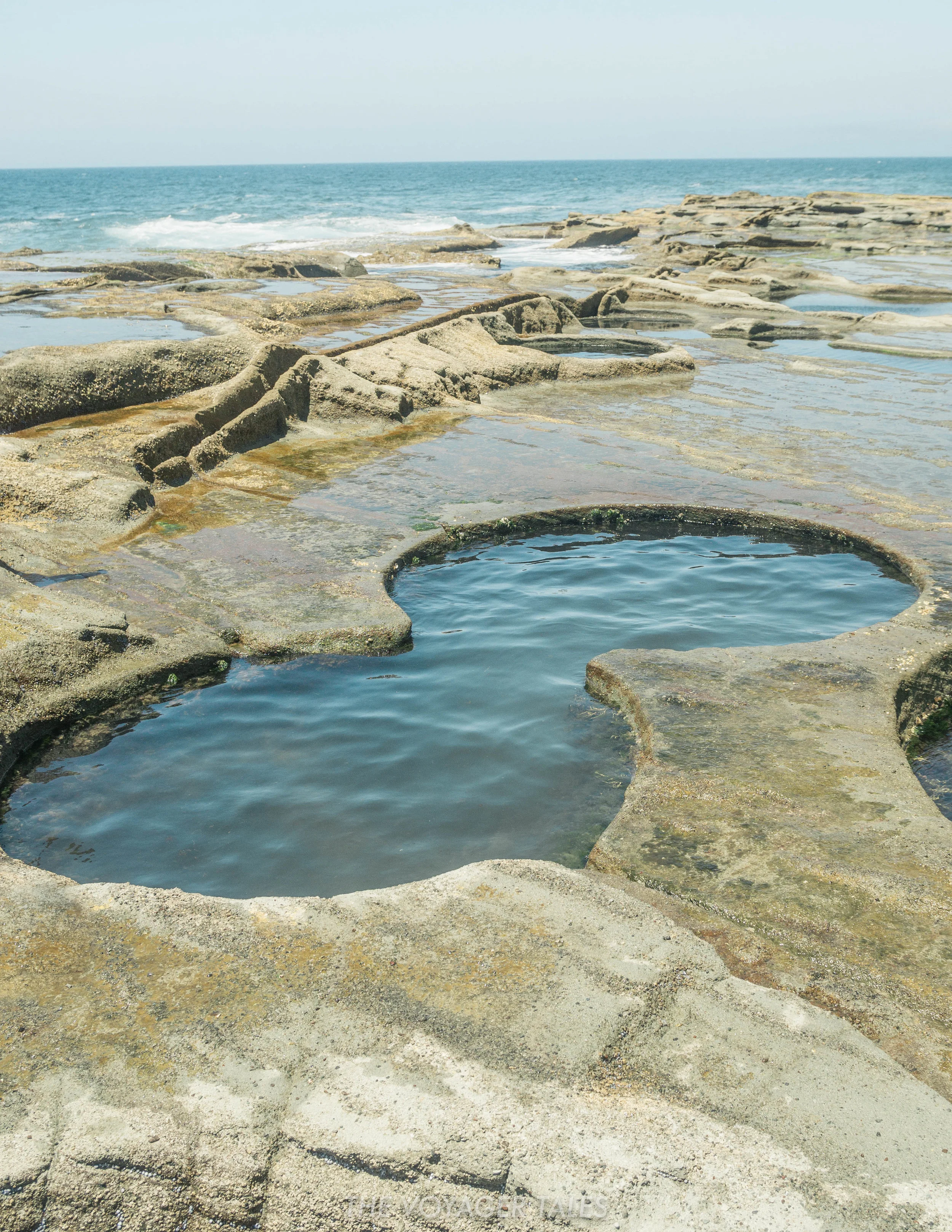 Figure 8 Pool.jpg