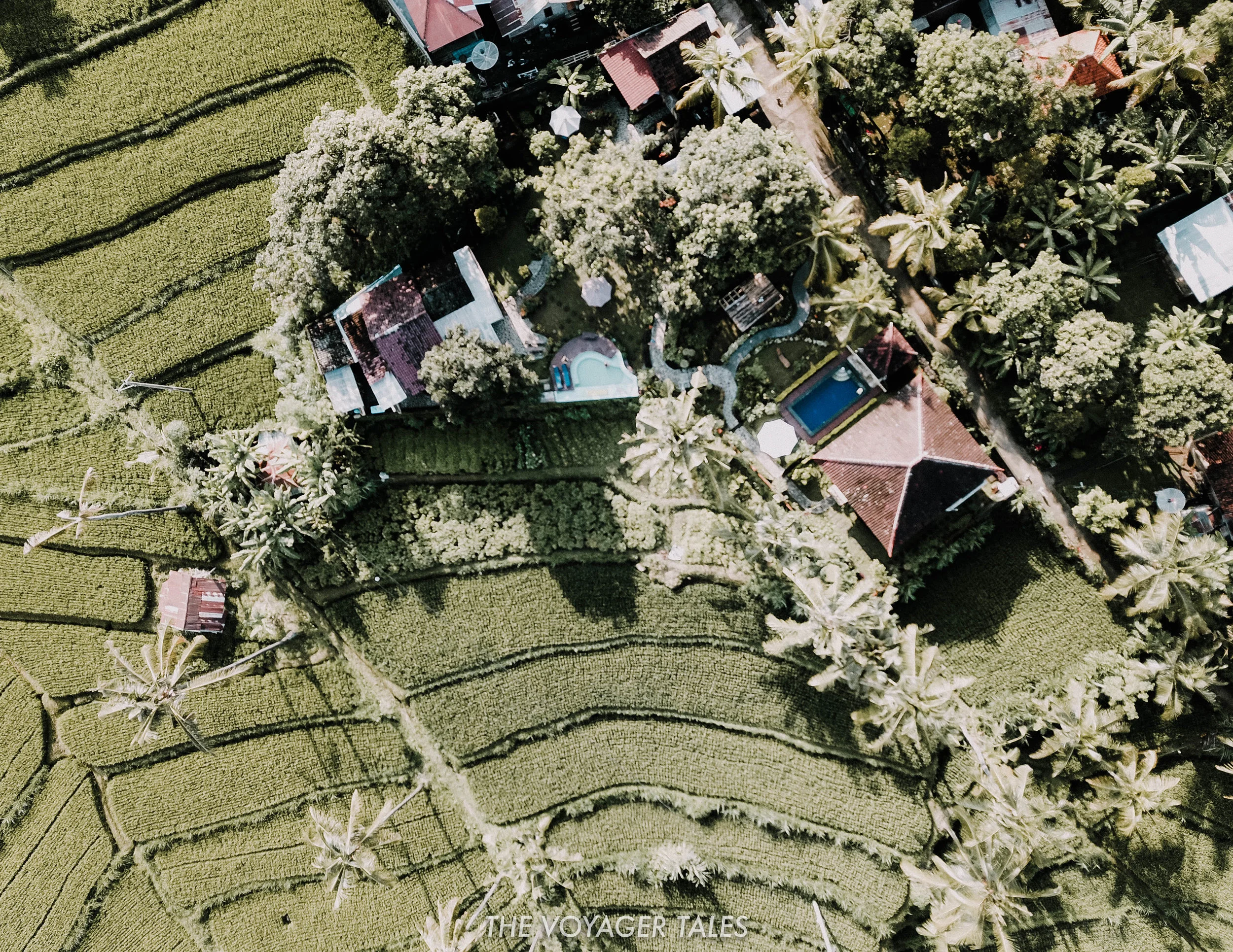 Lafyu resort village Bali.jpg