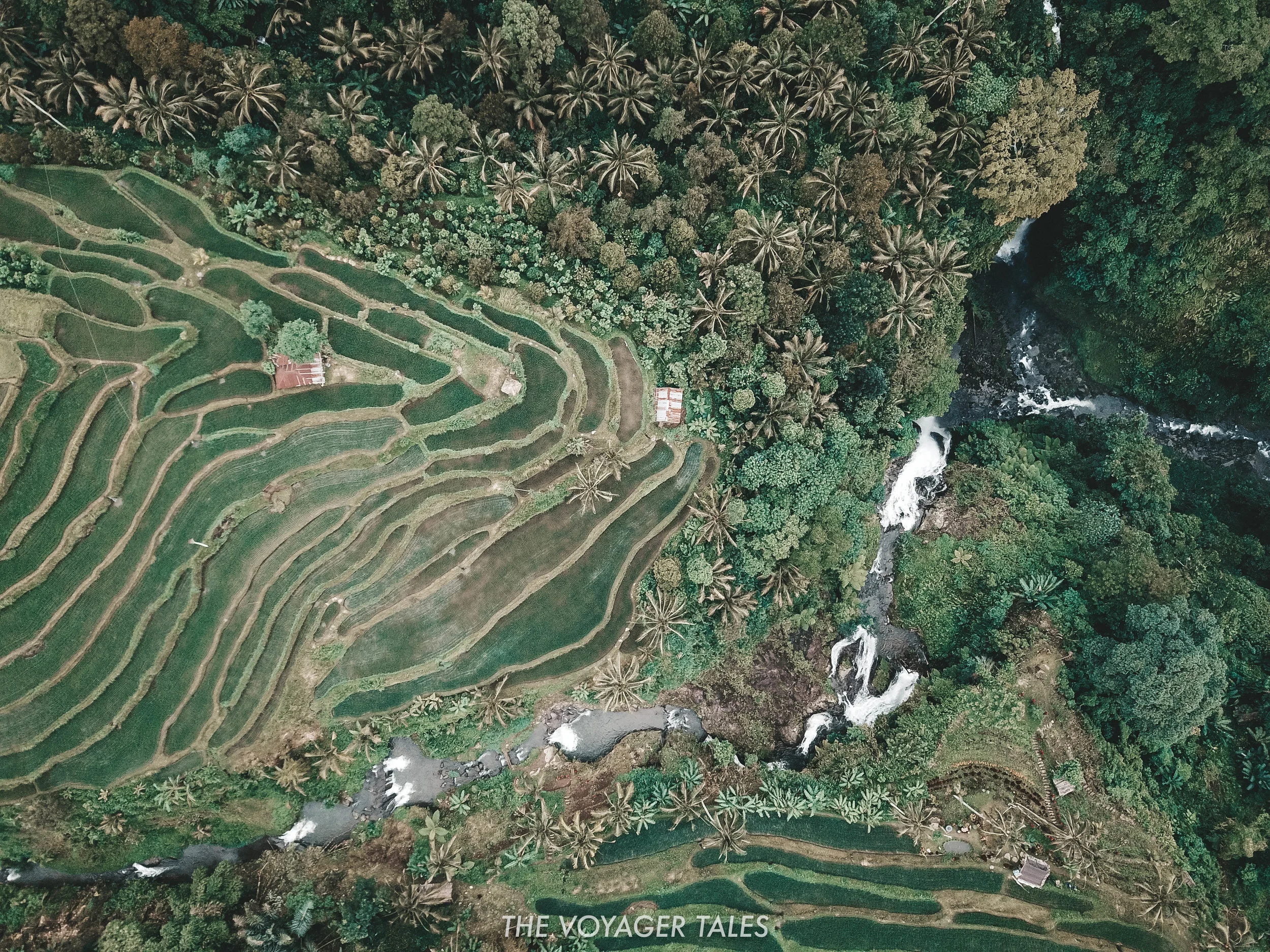 Sekumpul Waterfall.jpg