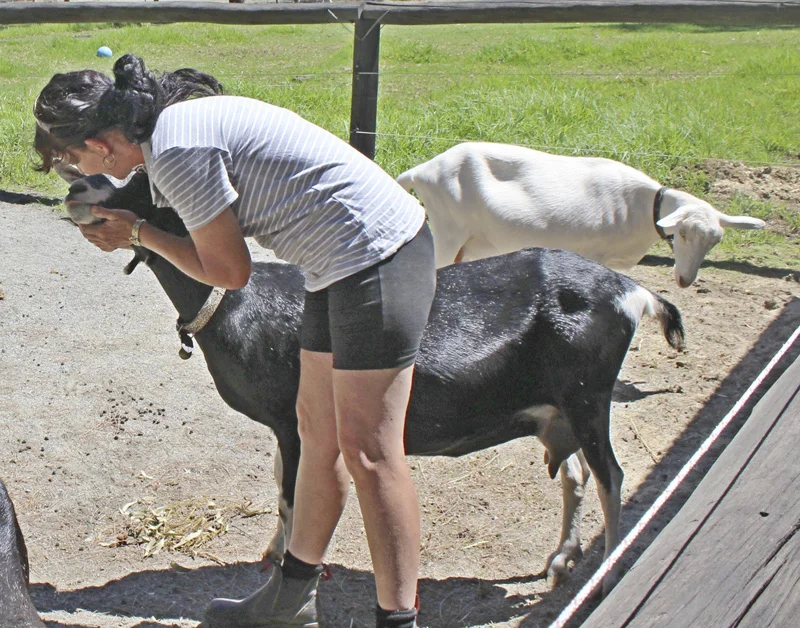 Michelle loves her goats
