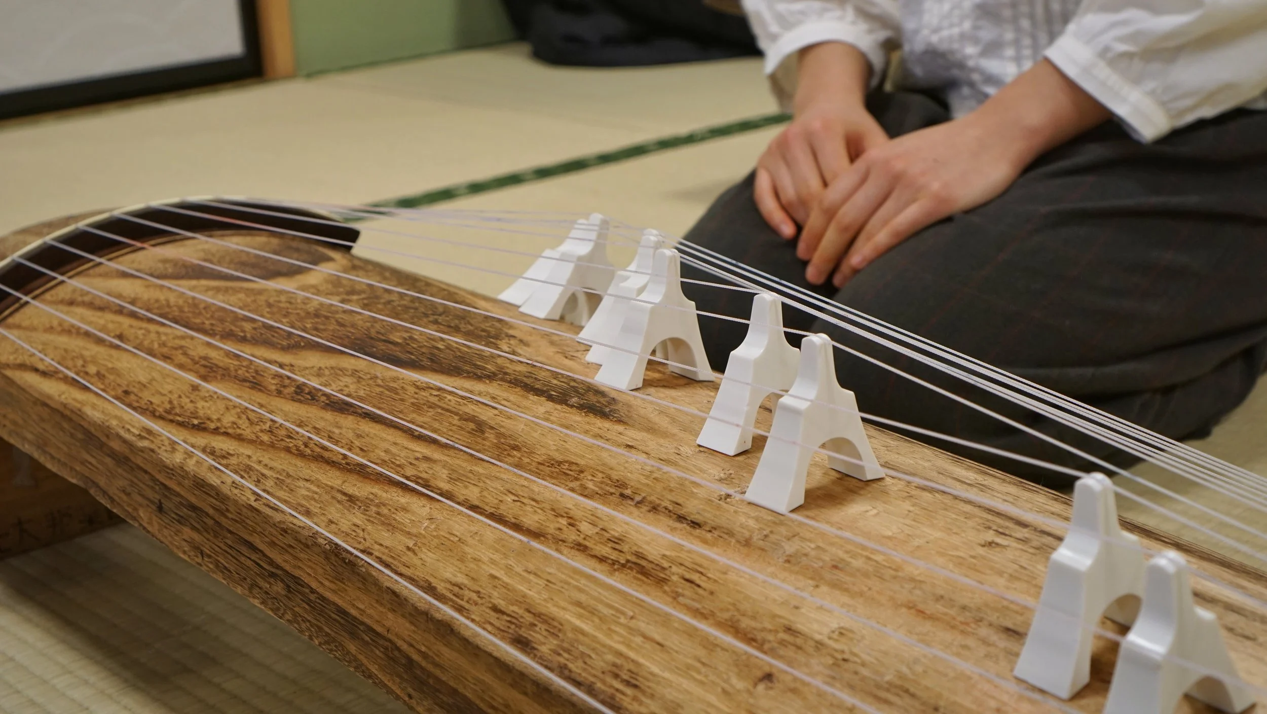 DSC02414-01.jpeg