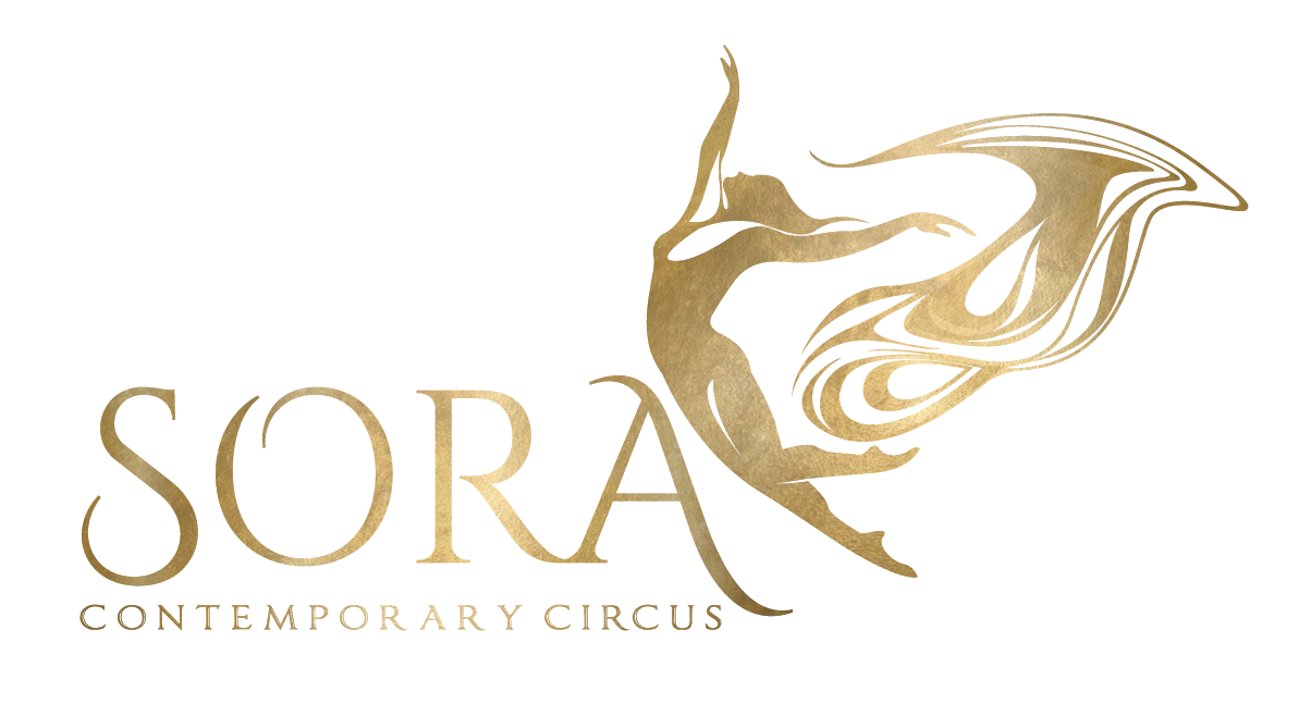 The Studio Sora Aerial Arts Sora Contemporary Circus