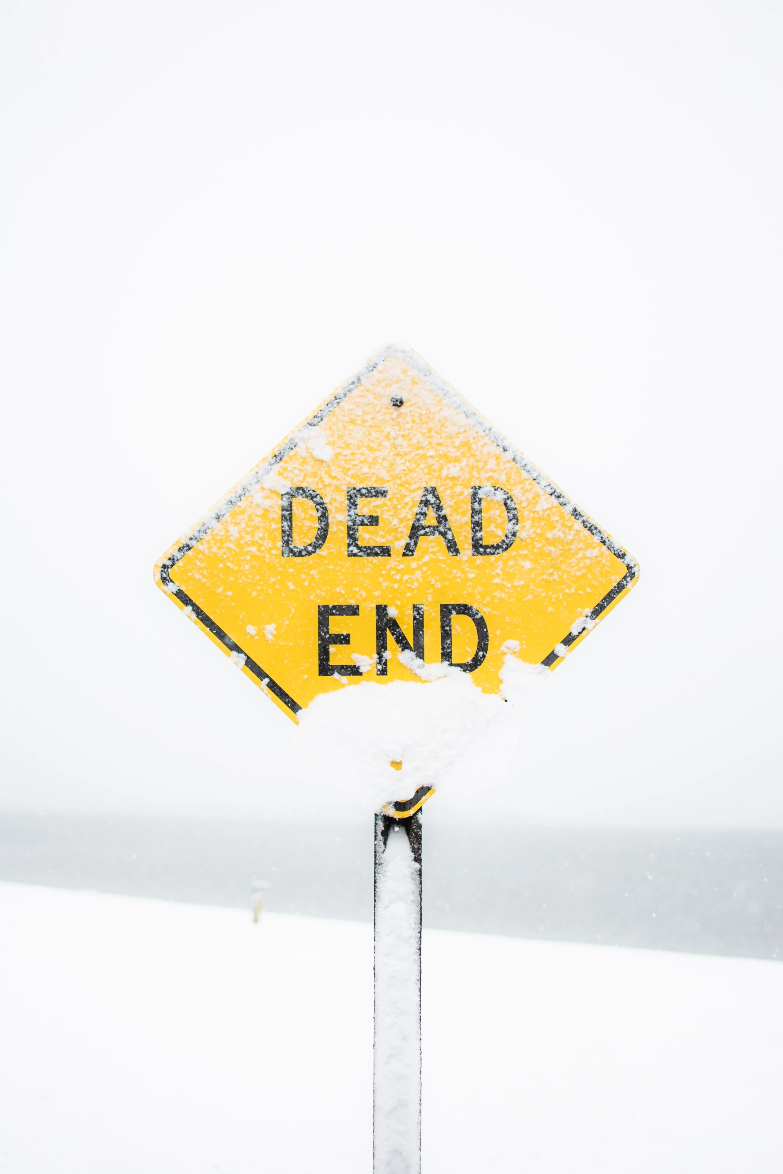 Photo by Adam Birkett
