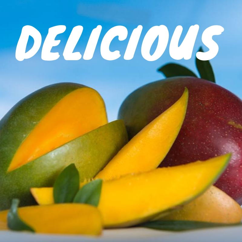 Copy of mango (1).jpg