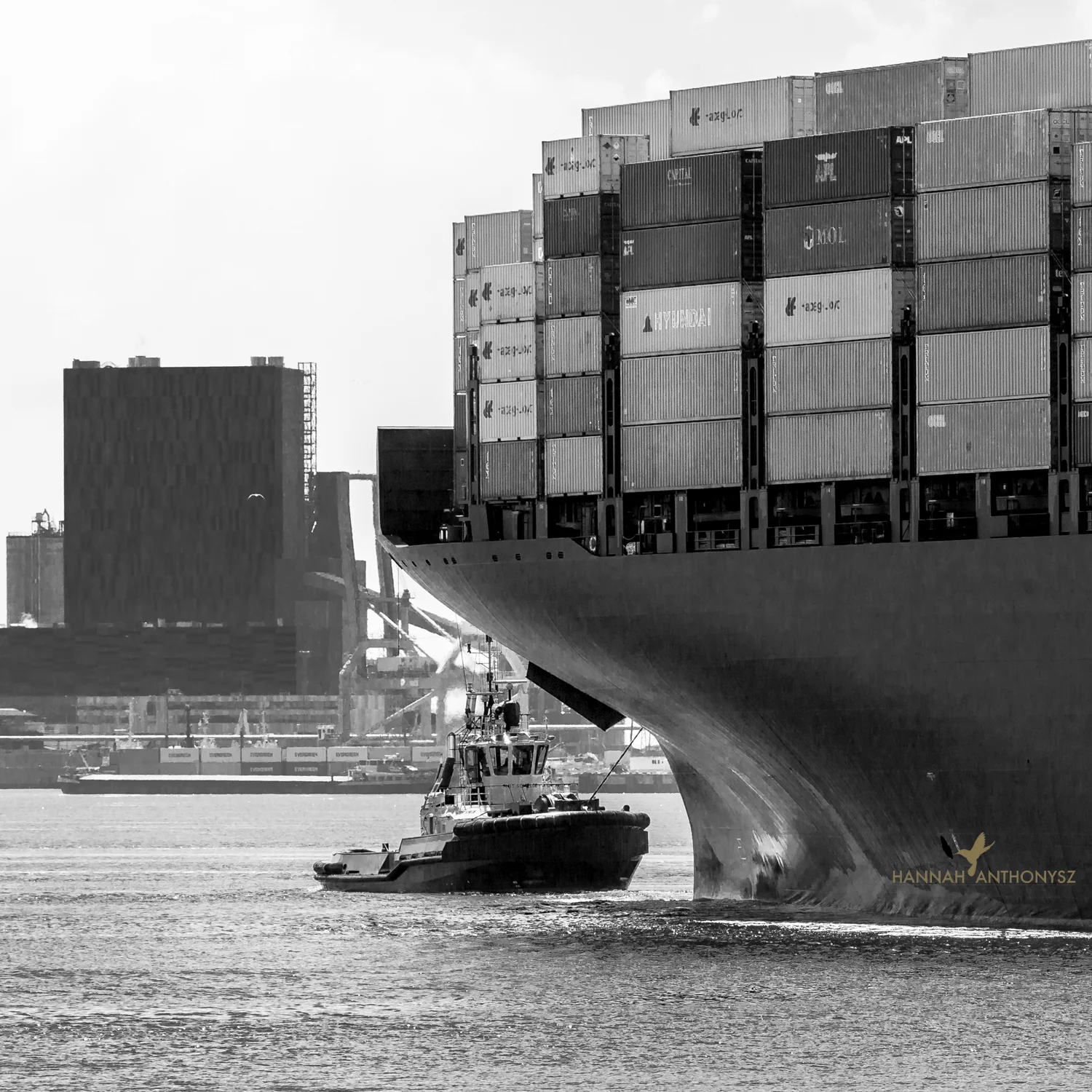 HA_Rotterdam.Haven.0893.jpg