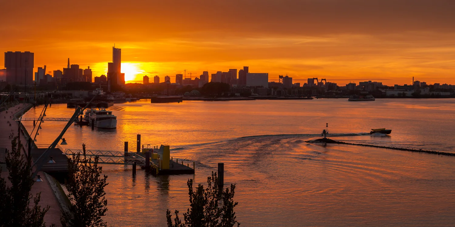 HA_Feyenoord.sunset-9369.jpg