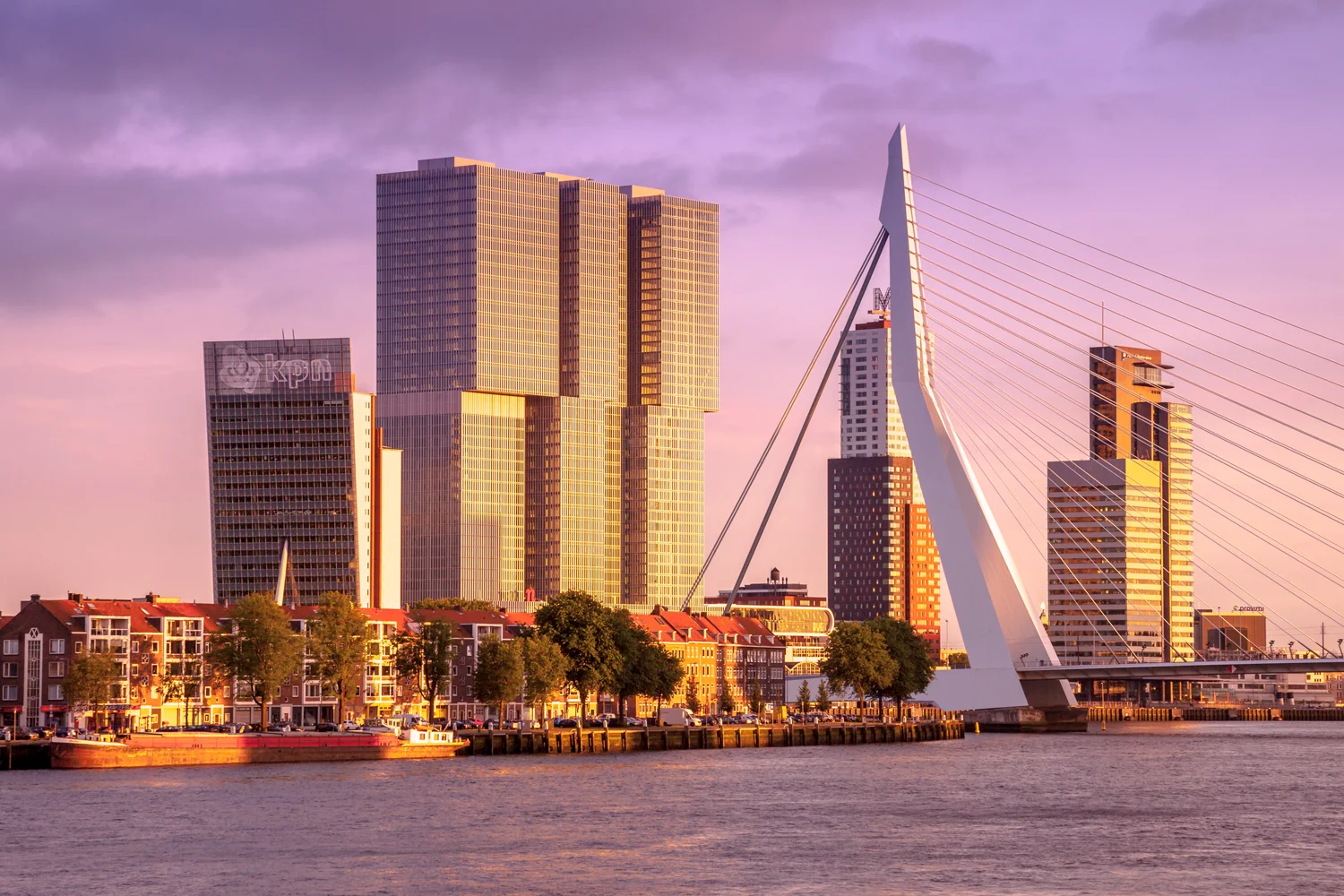 HA_Rotterdam.KopvanZuid.1176.jpg