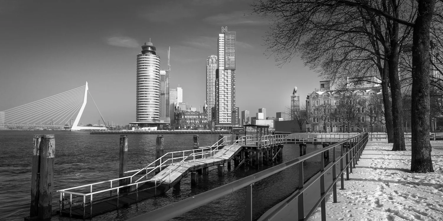 HA_KopvanZuid.Katendrecht-8297.zw.jpg