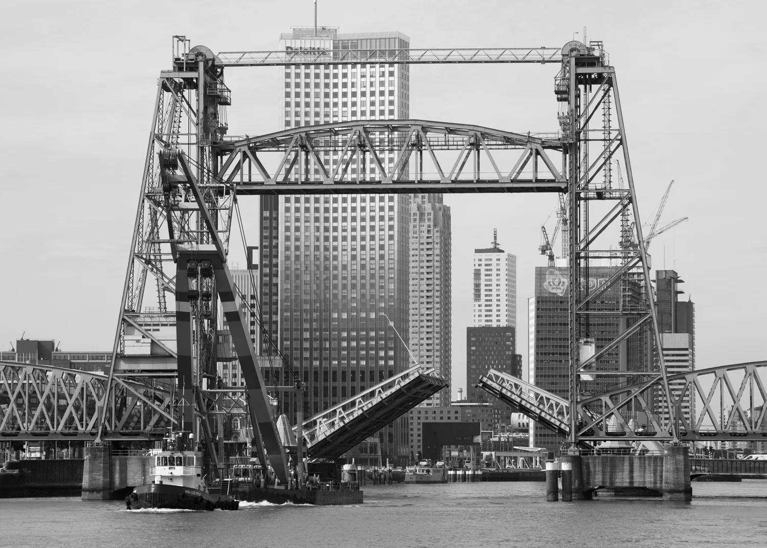 HA_Rotterdam.Hef.sleepboot.9867.jpg