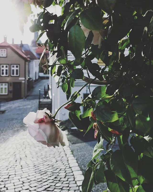 Ha det bra, Marsipanogsmilefjes! Jeg er på det ellevte året som blogger. Jeg begynte å skrive og ta bilder for å fange øyeblikkene. Formidle de små tingene vi har rundt oss. Jeg ville aldri vært bloggen min foruten. Det har blitt en del av meg, noe jeg har brukt nesten 1/3 av livet litt på. Nå er jeg der at jeg muligens legger ned bloggen. Jeg lar den være der ut sommeren, lager noen innlegg i ny og ne. Kanskje. Jeg vil nemlig forsøke å bli mer aktiv med postene mine her på Instagram. Jeg lager stories så og si hver dag, men har blitt dårlig på å lage instaposter. Målet er at Instagram skal bli noe mer varig for meg. Ikke bare en firkant som forsvinner etter et døgn. Litt lavere terskel for å legge ut innlegg som blir liggende. Jeg har mange snille følgere (dere❤️) som vil ha flere poster, og jeg skal utfordre meg selv på å bli flinkere til dette. Kanskje lage innleggene mer som et blogginnlegg. For skrivingen slutter jeg aldri med. Ordene vil ut, blogg eller ei. Håper dere slår følge med meg, Marthe, jeg lover at det skal være plass til både marsipan og smilefjes her inne.