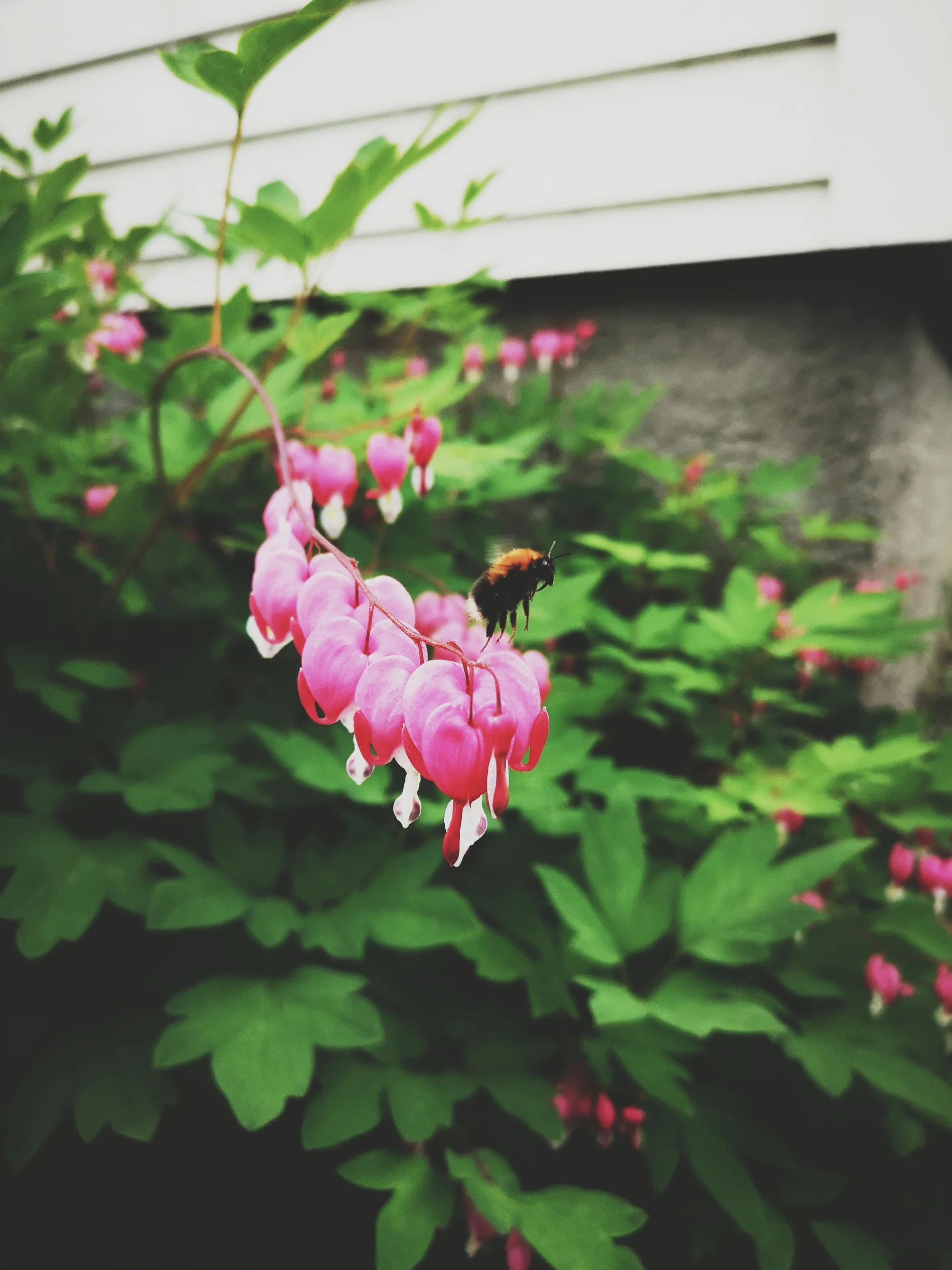 processed_2019-06-29 04.13.39 1.jpg