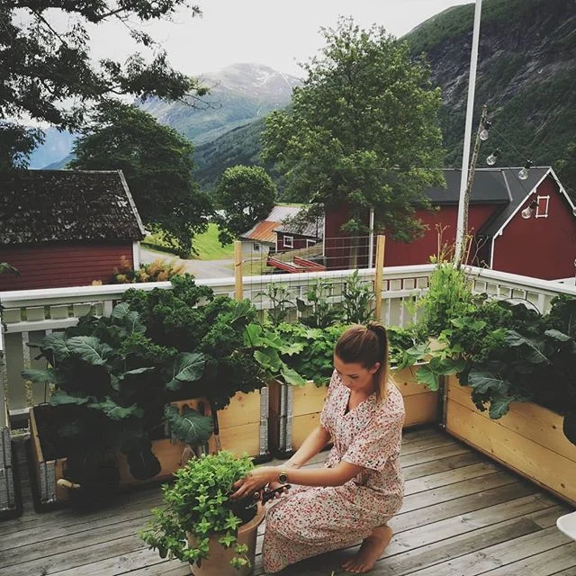 Samarbeid med @fiskarsfinland

Fra mai til juli har jeg hatt et samarbeid med Fiskars, og det er et samarbeid som har gjort hagearbeidet så utrolig mye enklere, mer spennende og mer givende for meg. Takk for muligheten! Fra lukingen av de første vårbedene til beskjæring av plommetrær- kvalitetsredskapene fra Fiskars har fulgt meg hele veien. Alle redskapene er laget med tanke på anatomien vår, og er utformet på en ergonomisk god måte. Jeg har laget flere innlegg på bloggen min marthebo.no, så ta en kikk inn der om du vil ha en fyldigere beskrivelse av de forskjellige produktene jeg har testet. Jeg kan i hvert fall signere på forbrukerundersøkelsen som Fiskars har gjengitt på sine nettsider: hagearbeid gjør oss gladere! God sommer videre, alle sammen! #fiskars