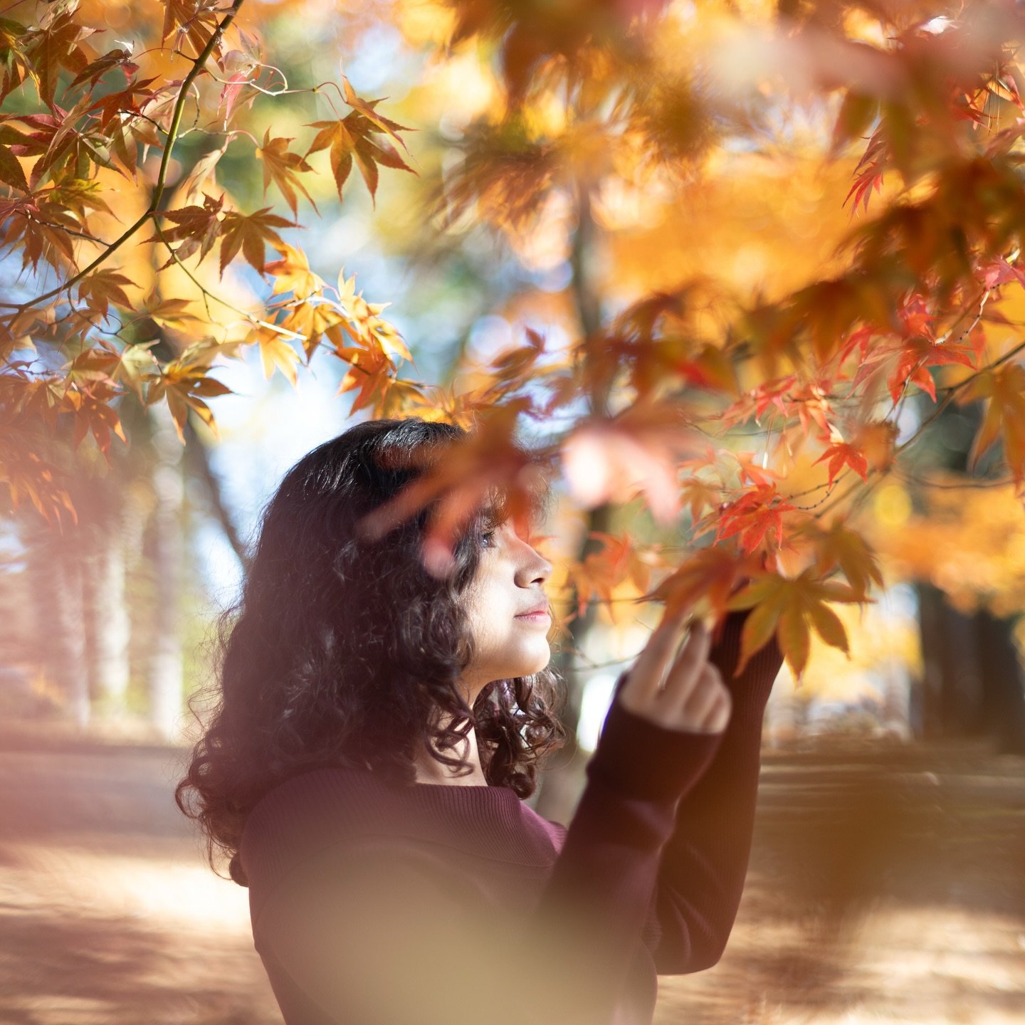 🍂 chasing that fall glow 🍁 I almost never photograph senior portraits, but when a prior bride calls for her daughter&hellip; You jump at the chance to embrace this amazing season in her life!