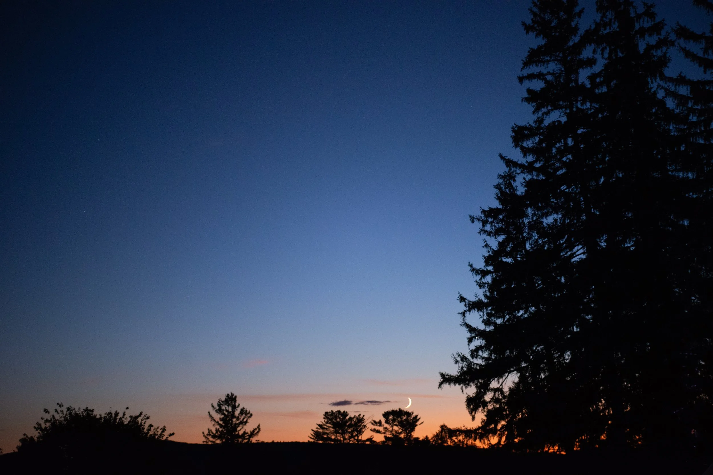 danifinephotography - Alexandra + Andrew-1291.jpg