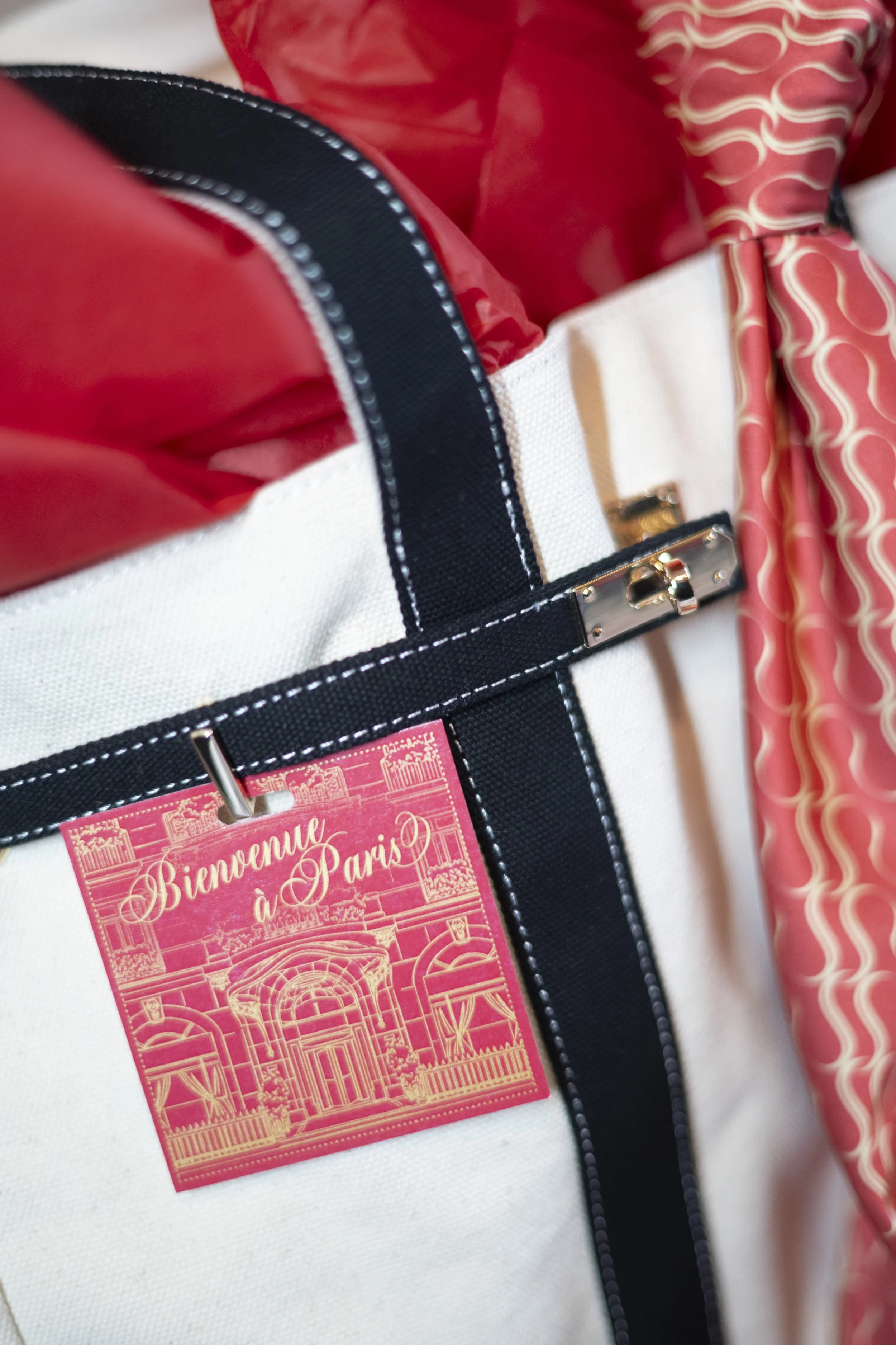 Close-up of a Paris-themed luggage tag attached to a white bag, with a red jacket and red-patterned fabric in the background.