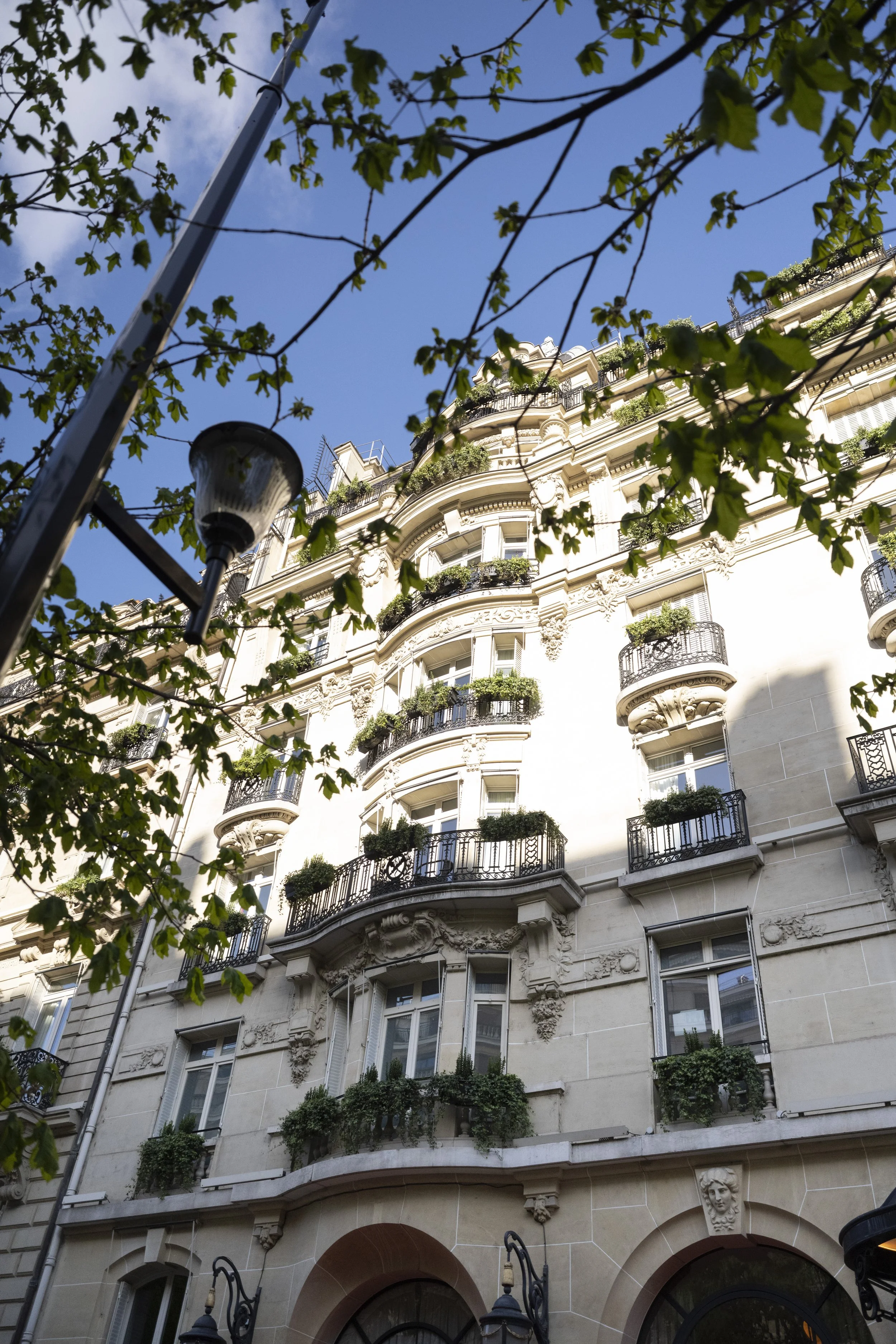 A tall historic building with ornate architectural details and balconies with plants, viewed from below through overhanging tree branches and a street lamp, against a blue sky.