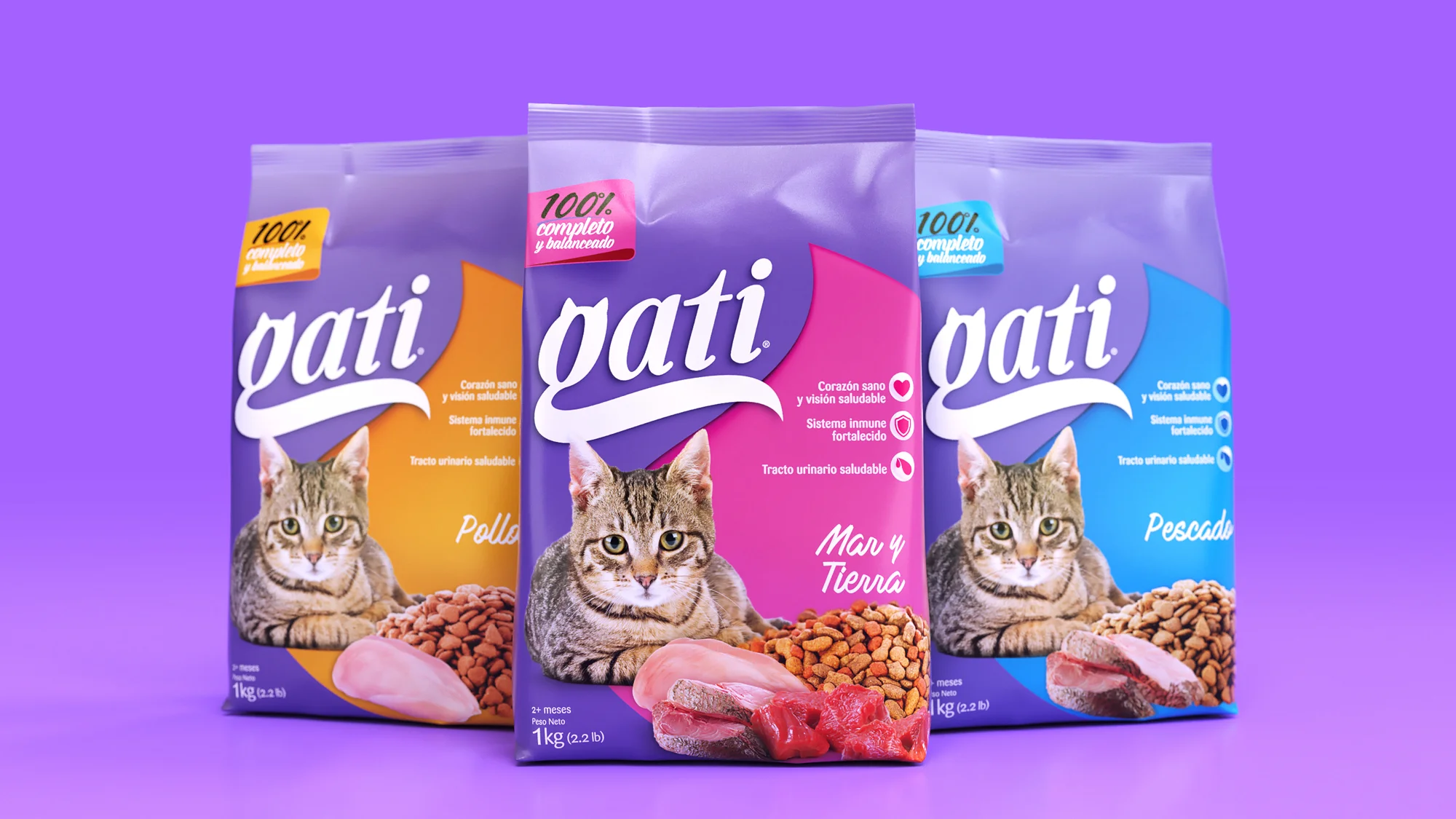 gati_02.jpg