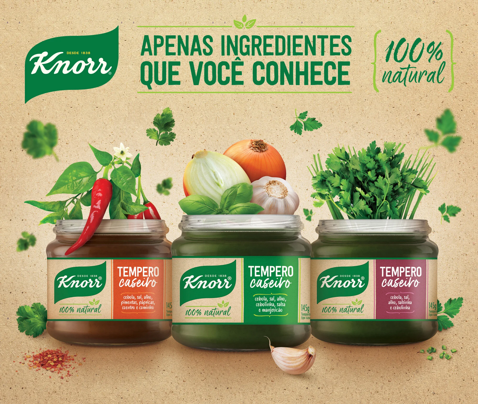 crx-design-unilever-knorr-tempero-caseiro-01B copy.jpg
