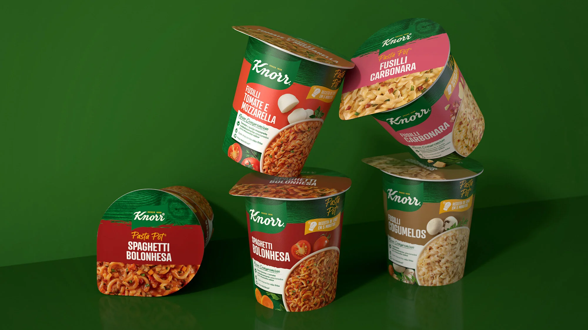 Knorr Seasoning Distribute Channel