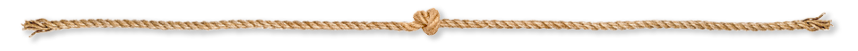 divider-bottom.png