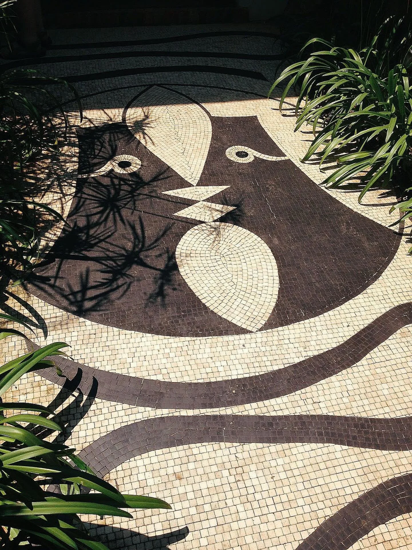 Villa Sospir, C&ocirc;t&eacute; d&rsquo;Azur France 💭