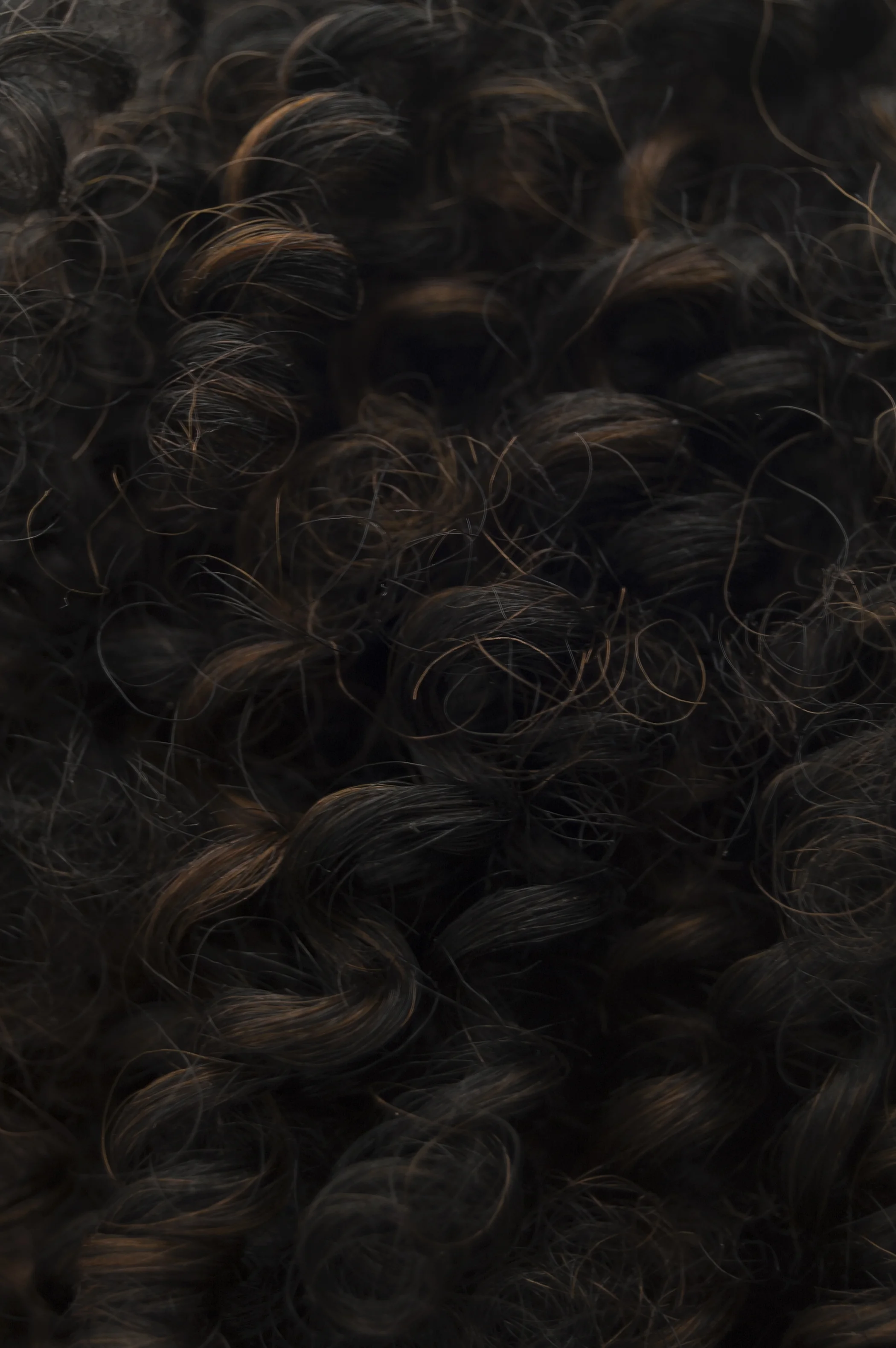 hair 4.jpg