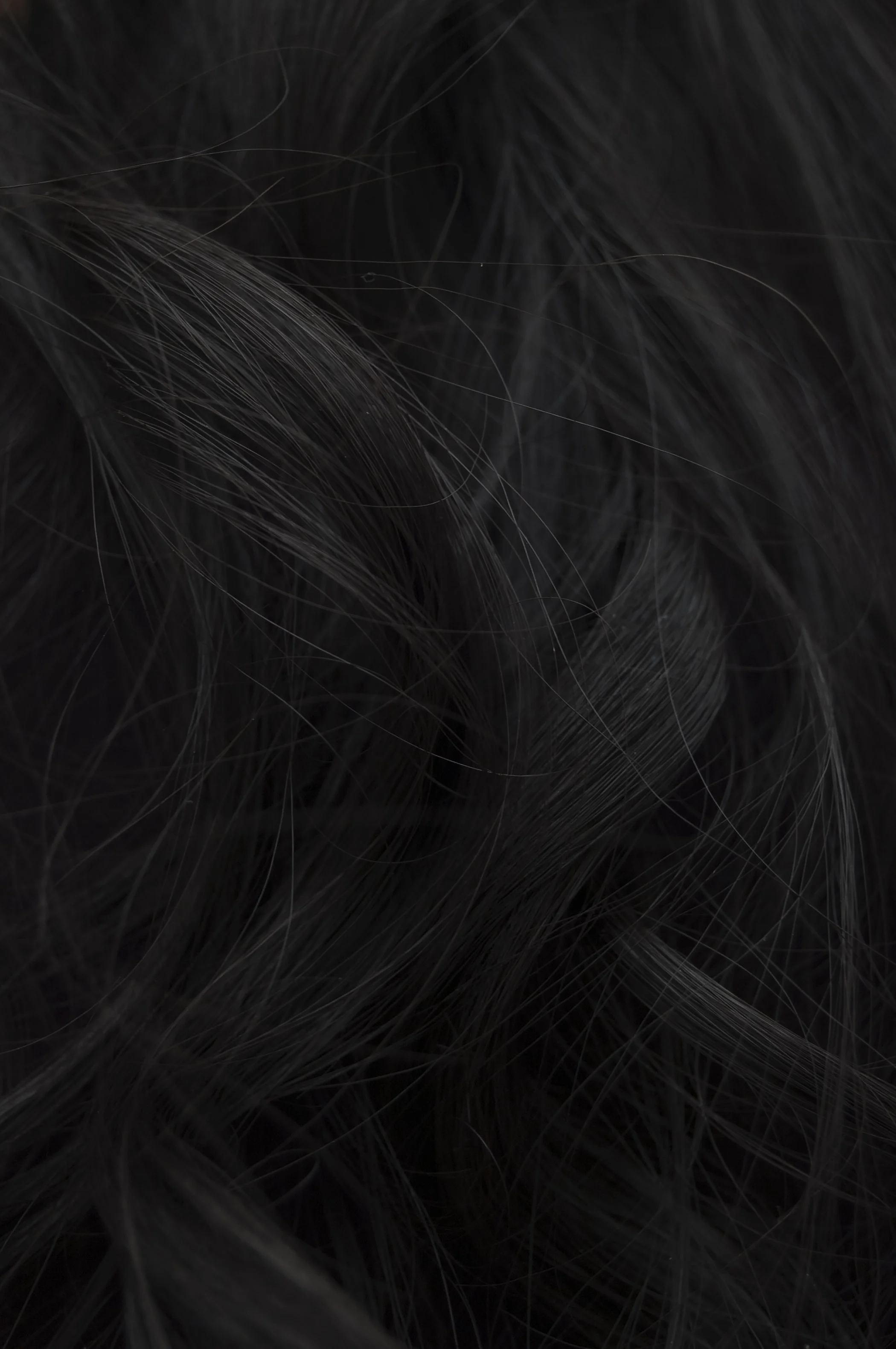 hair 6.jpg