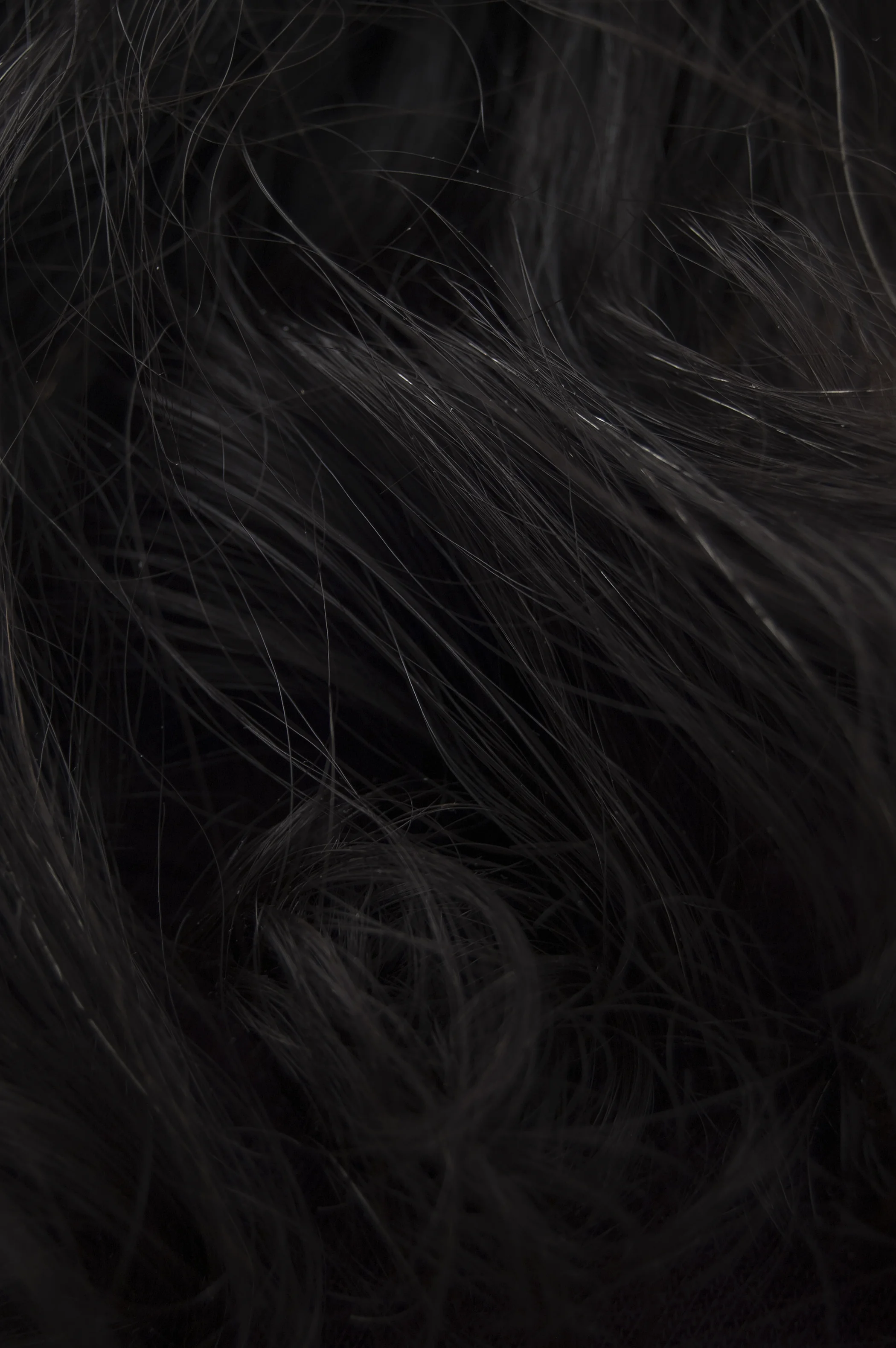 hair 7.jpg