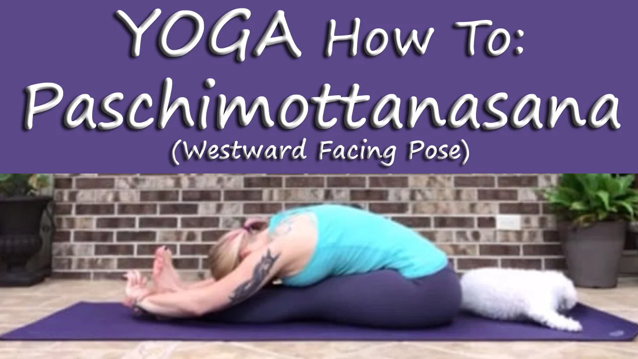 Yoga How to - Westward Facing Pose (Paschimottanasana) 