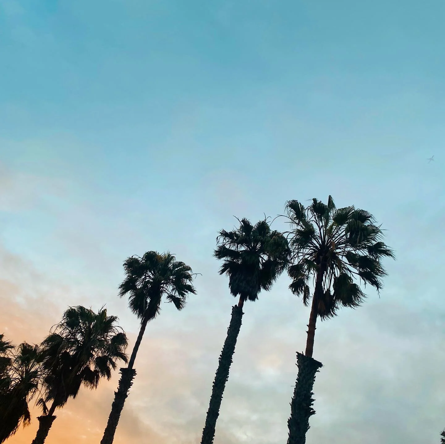 cali sunsets and good window pups 🥰