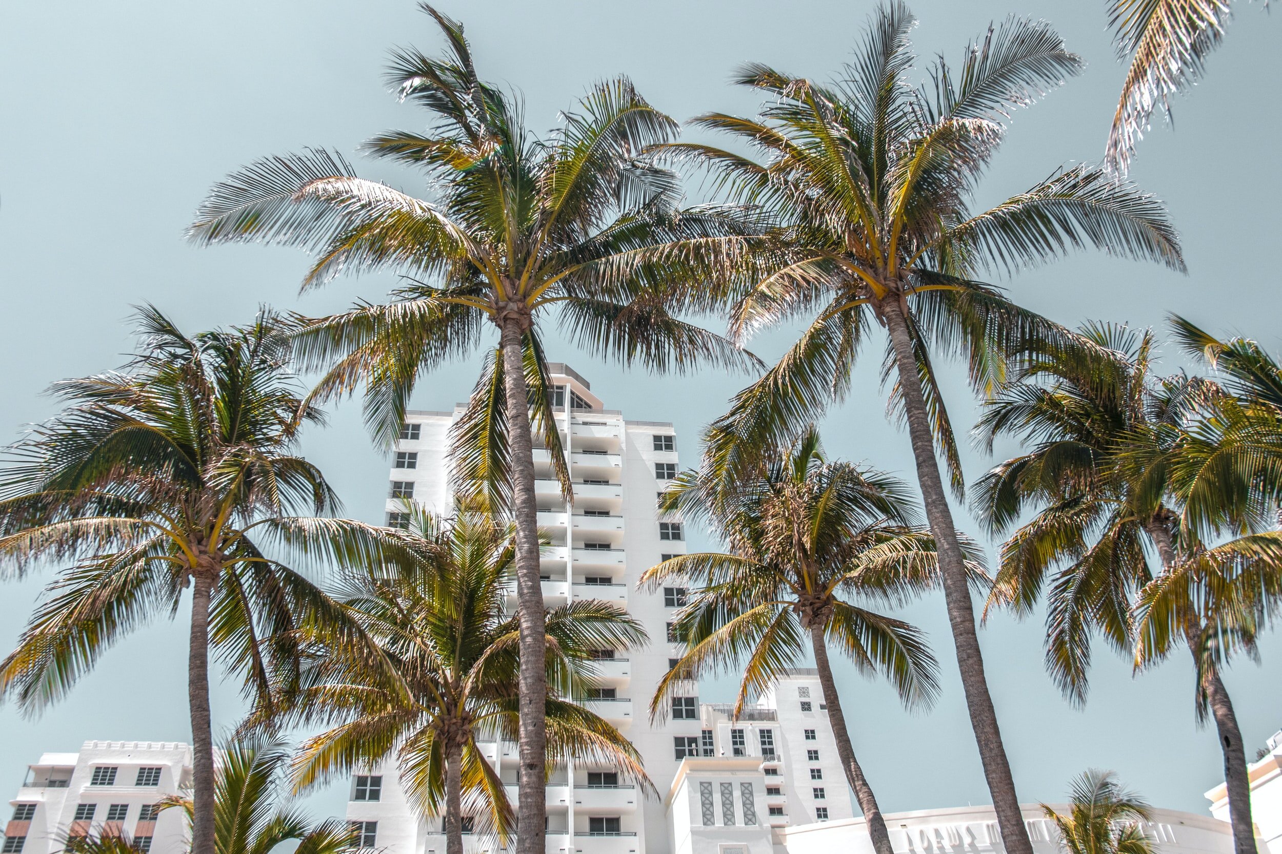 unsplash-image-s_HqmrMsph8.jpg